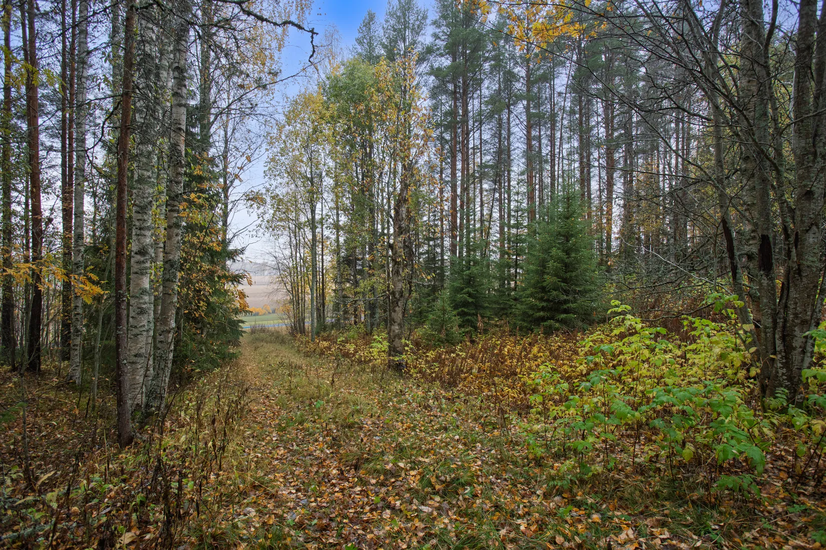 Villa, Pellboda 28, Robertsfors