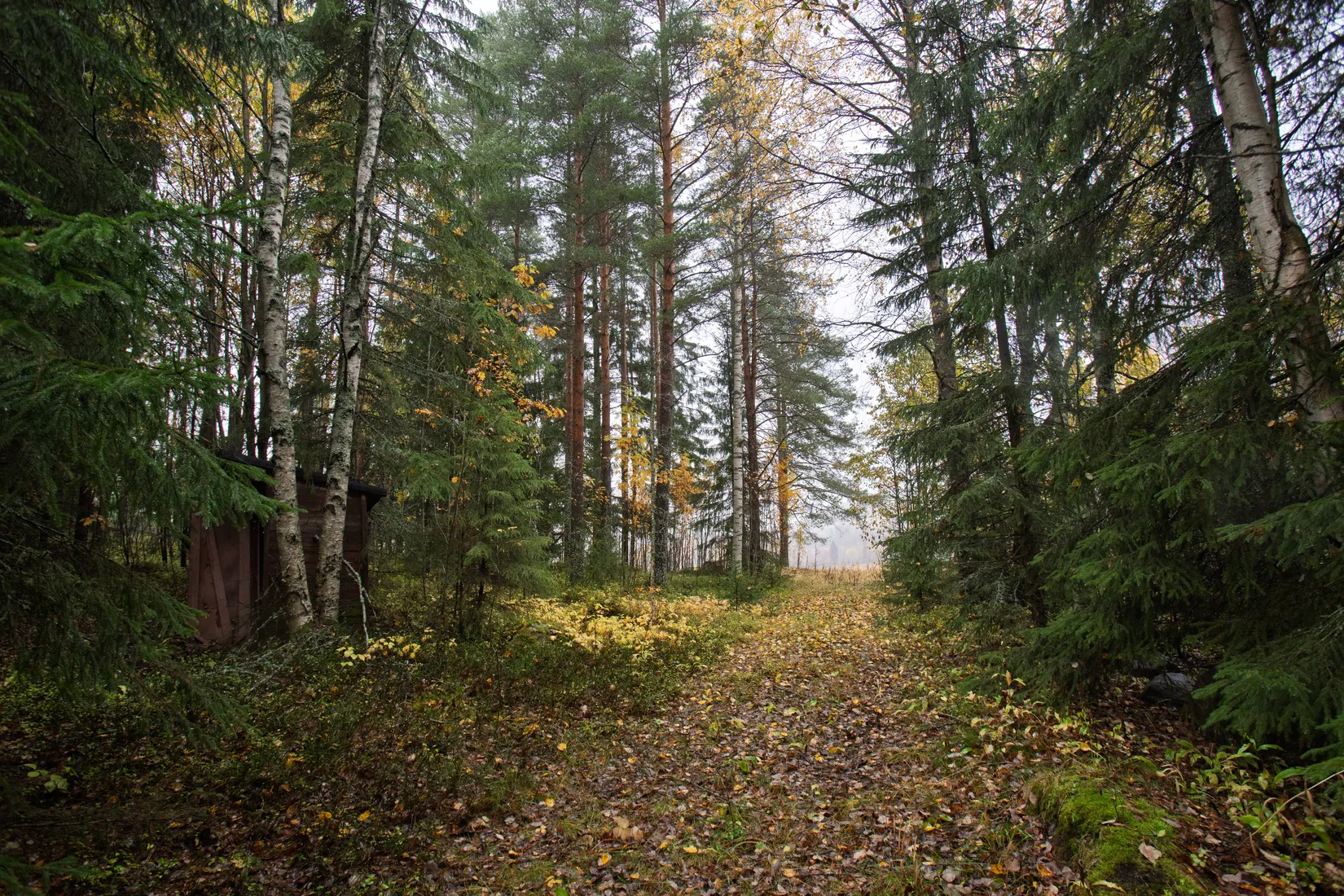 Villa, Pellboda 28, Robertsfors