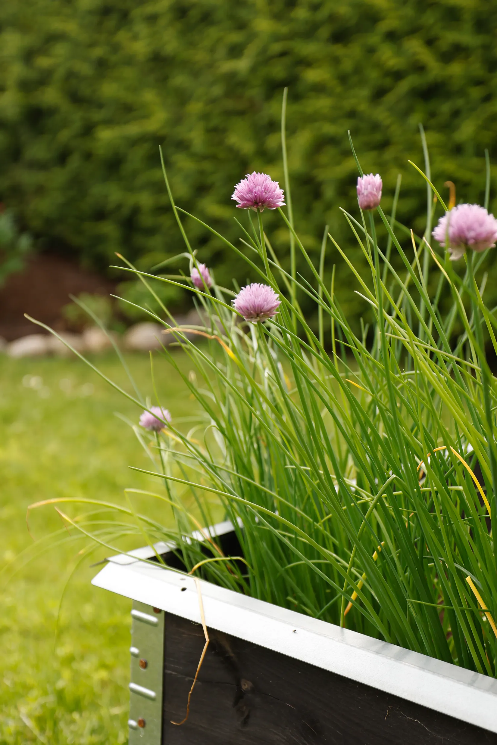 Bostadsrätt, Radhus, Willéngatan 106, Kumlaby, Kumla