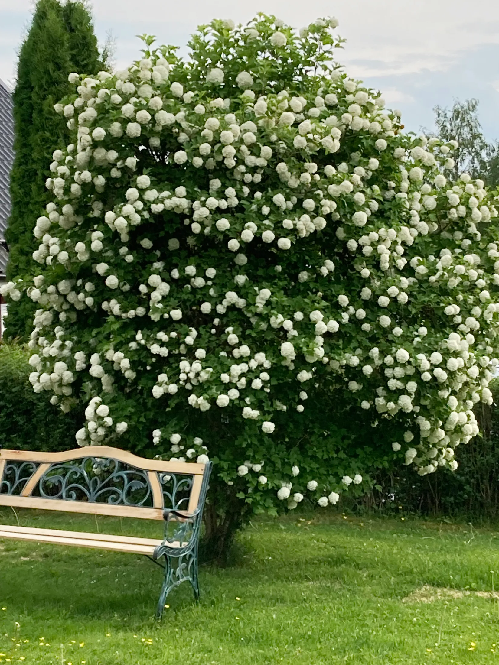 Villa, Bågvägen 6, Åmot, Ockelbo