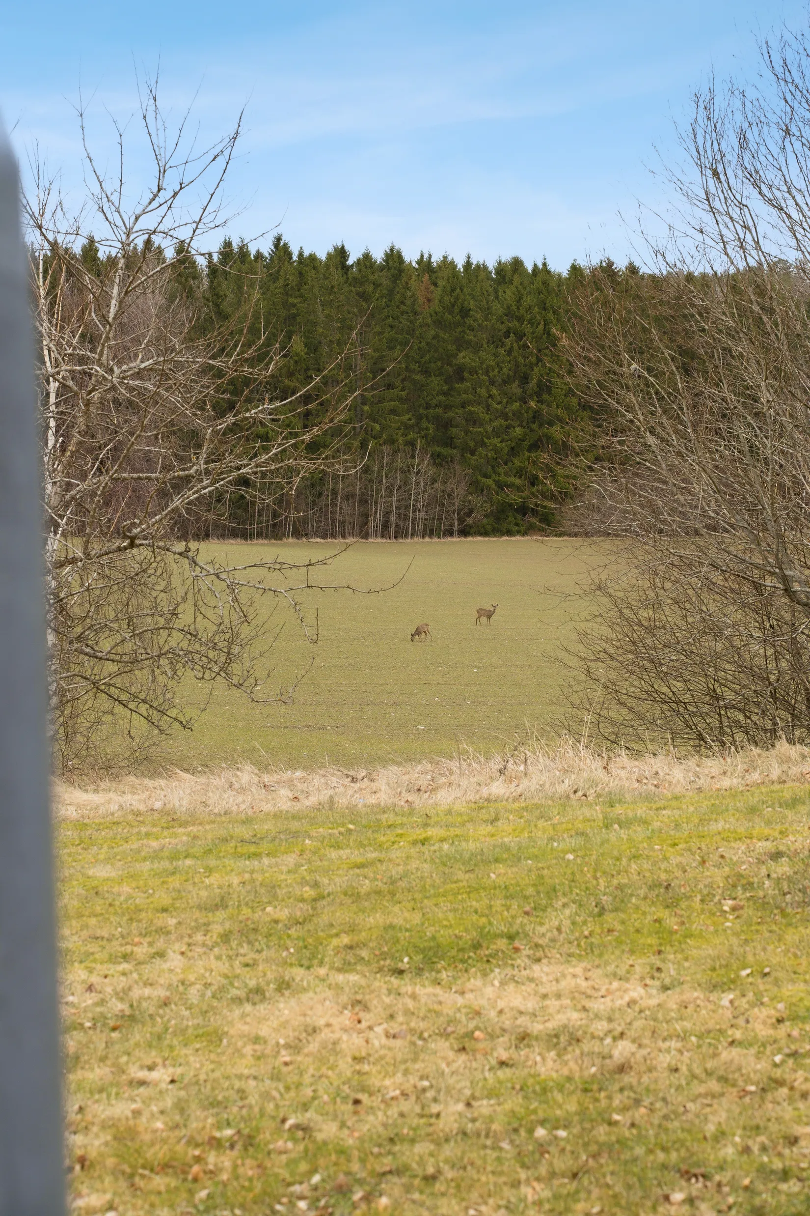 Bostadsrätt, Oppeby gård 125, Oppeby Gård, Nyköping