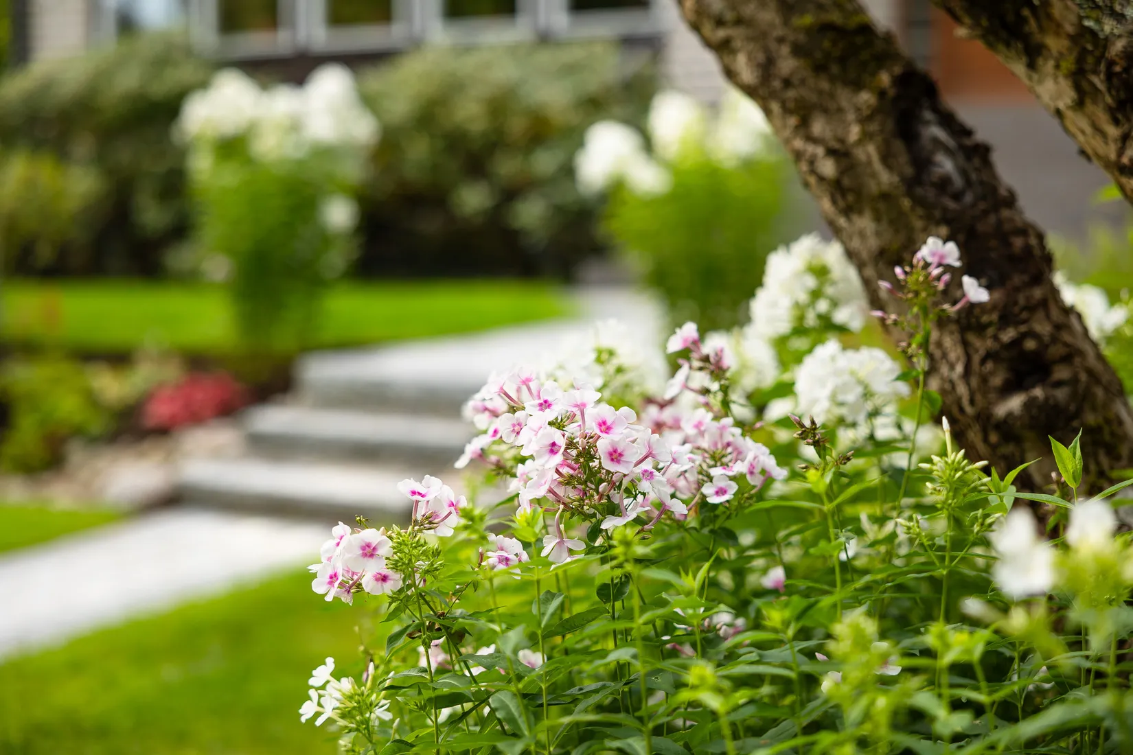 Villa, Film kyrkby 115, Östhammar