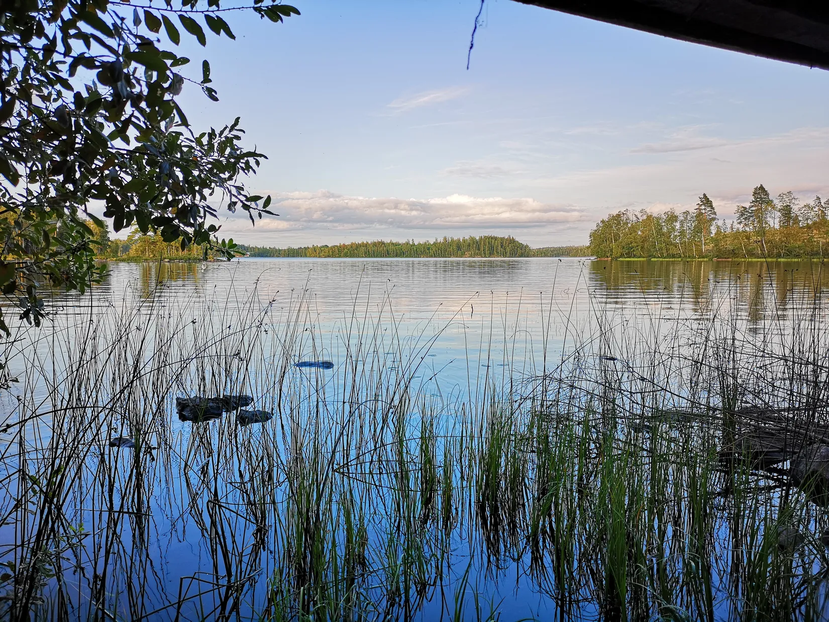 Gård/Skog, Grönvik 1, Rörvik, Sävsjö