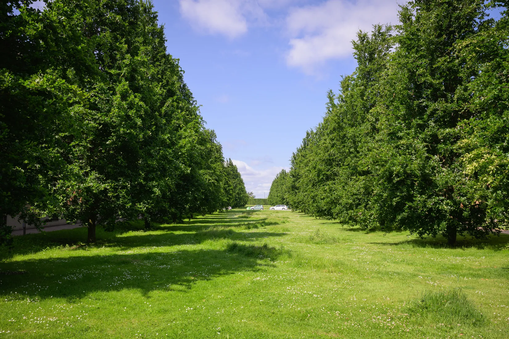 Bostadsrätt, Bobergsängen 3B, Dammfri, Malmö