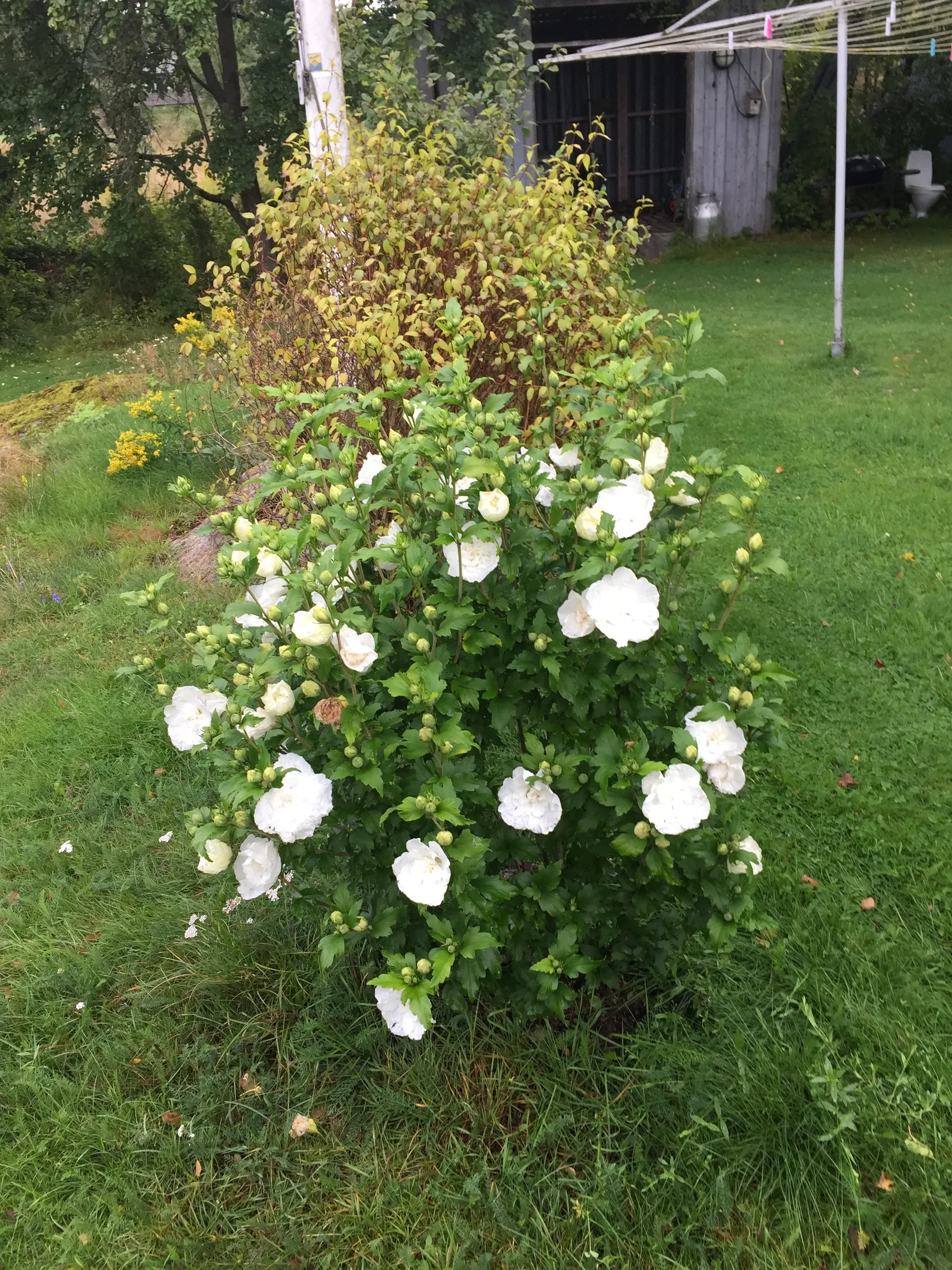 Villa, Sätingevägen 41, Fjärås, Kungsbacka