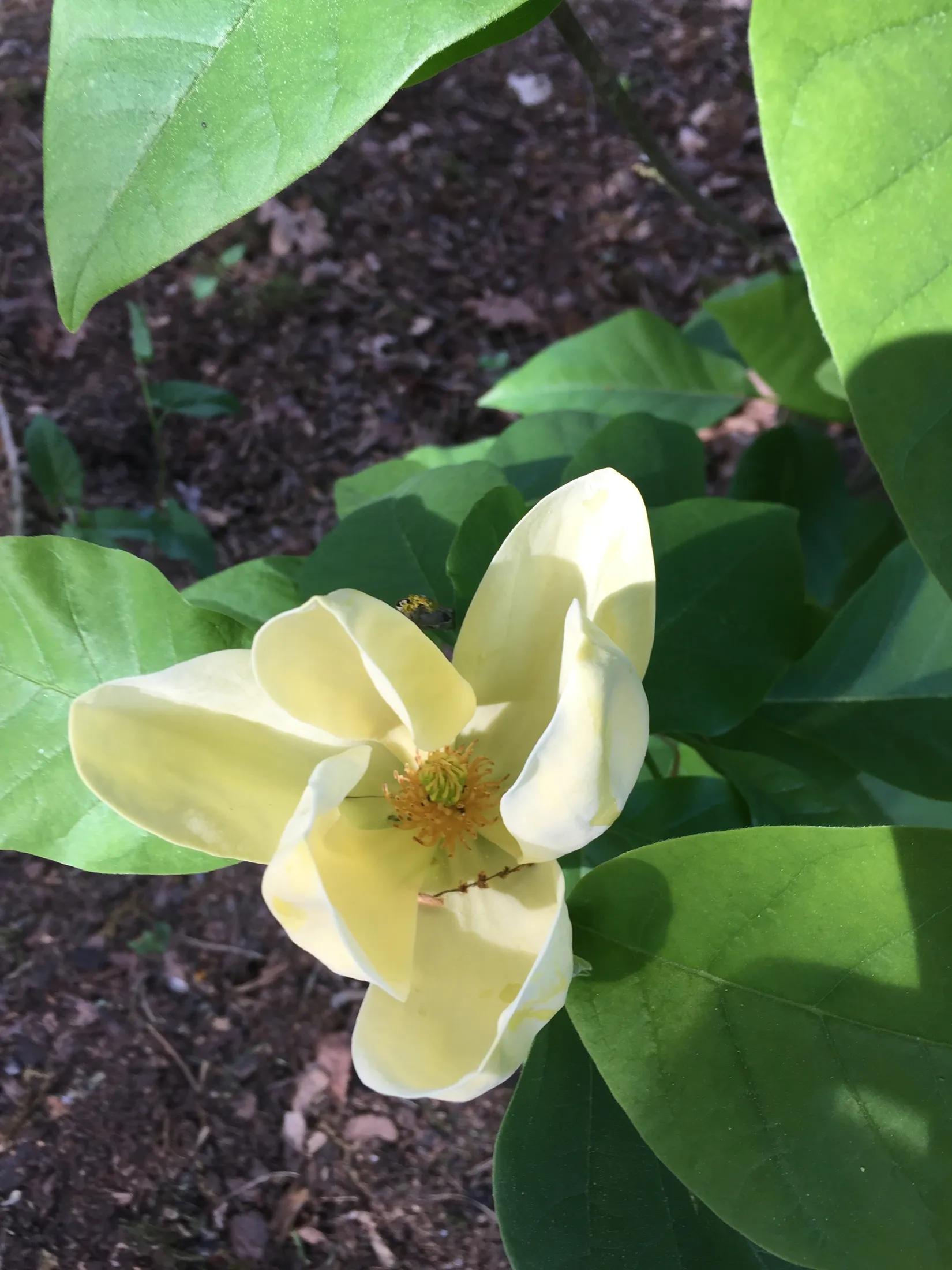 Villa, Sätingevägen 41, Fjärås, Kungsbacka