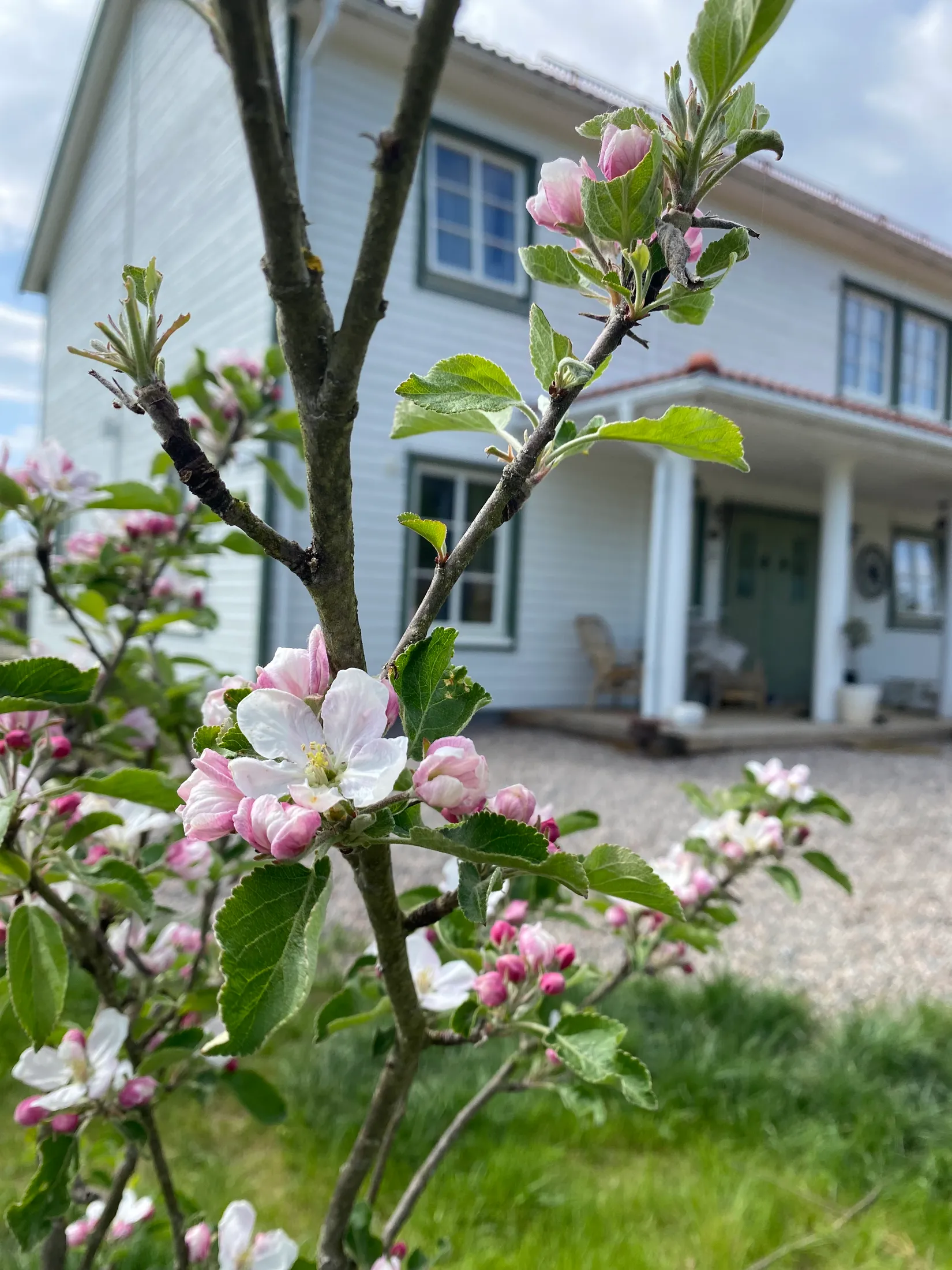 Villa, Sjögesätter Simonstorps gård 3, Norrköping