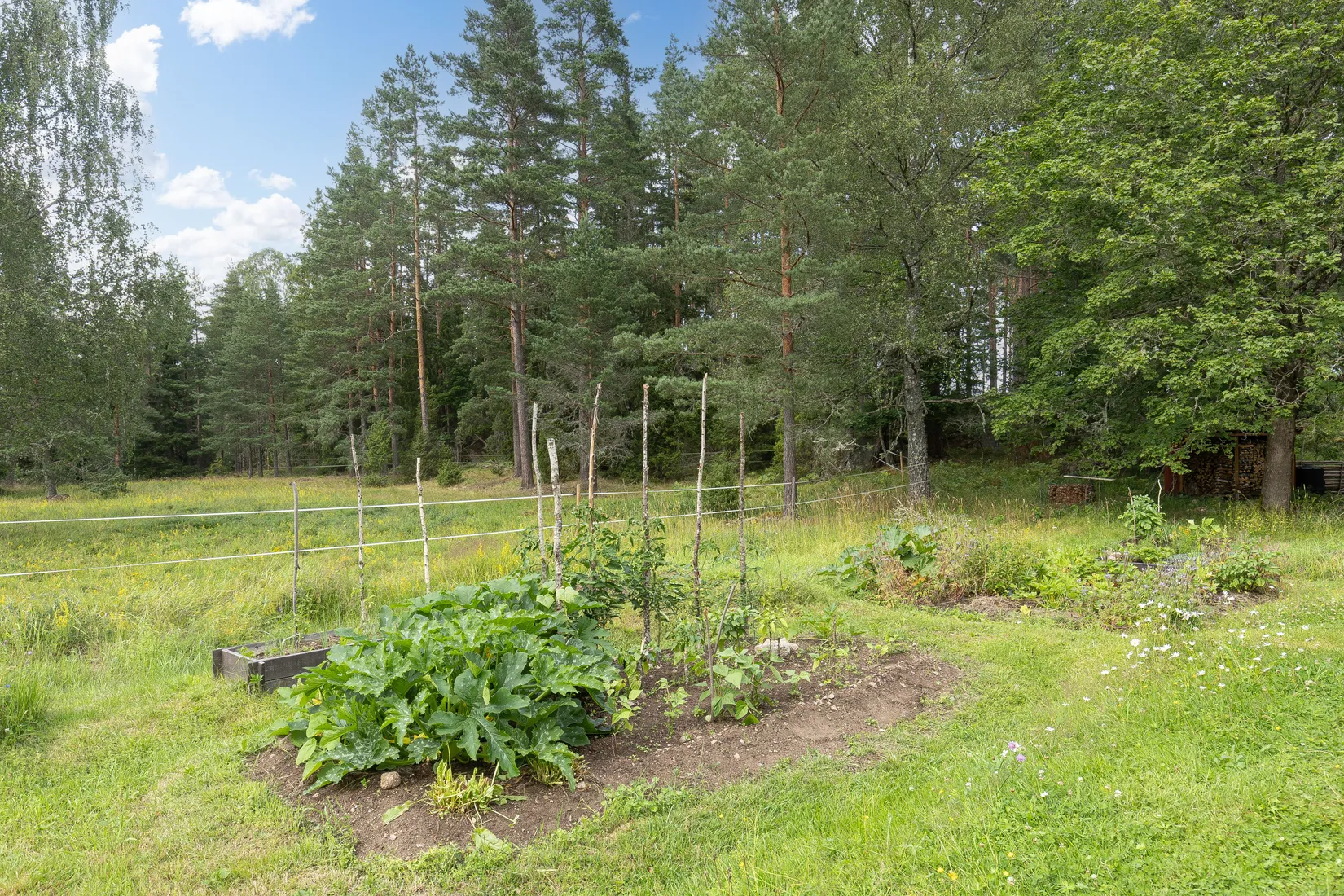 Fritidshus, Björkhult 520, Gullringen, Vimmerby