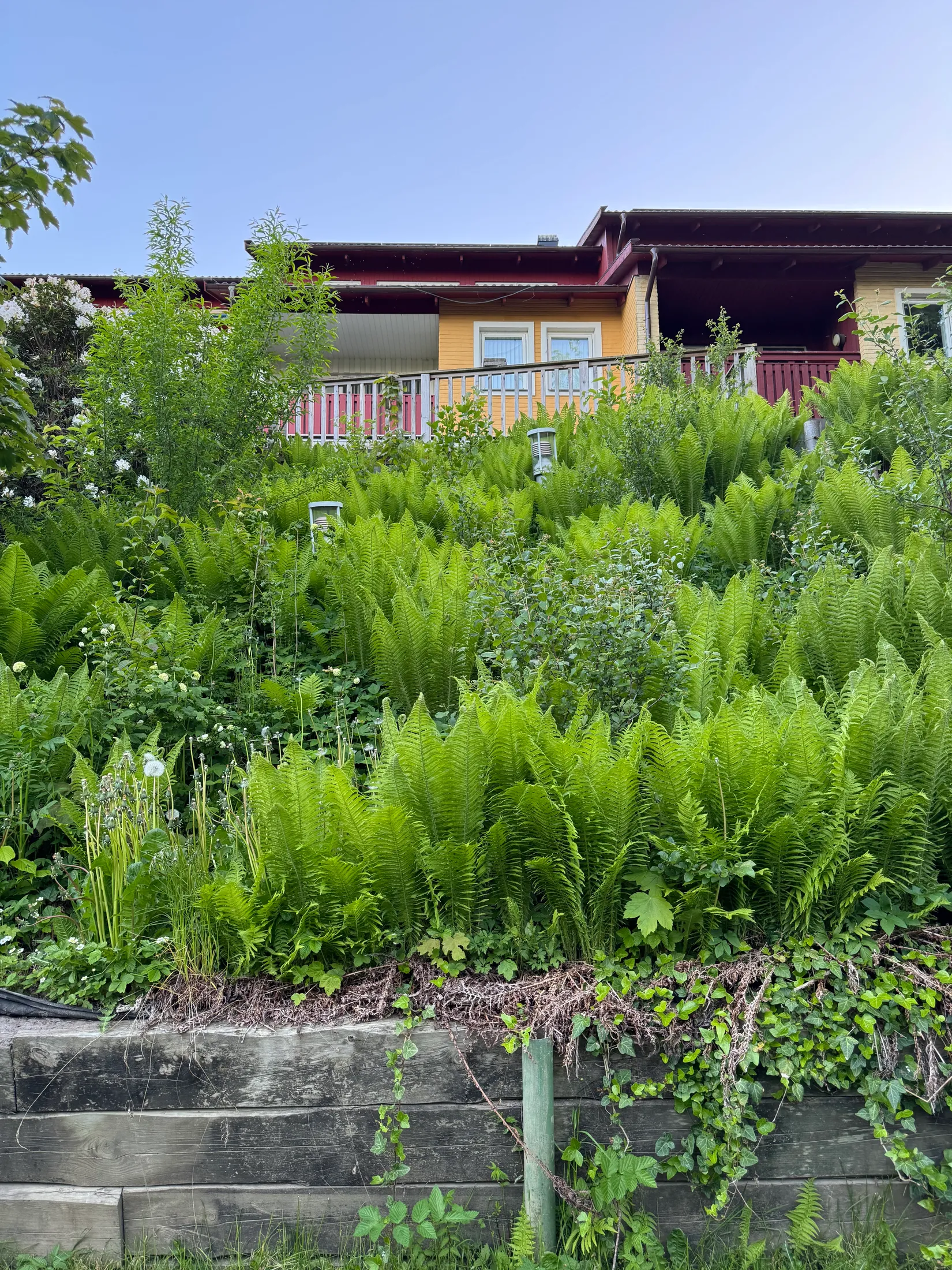 Villa, Villagatan 24D, Centrum, Ängelholm