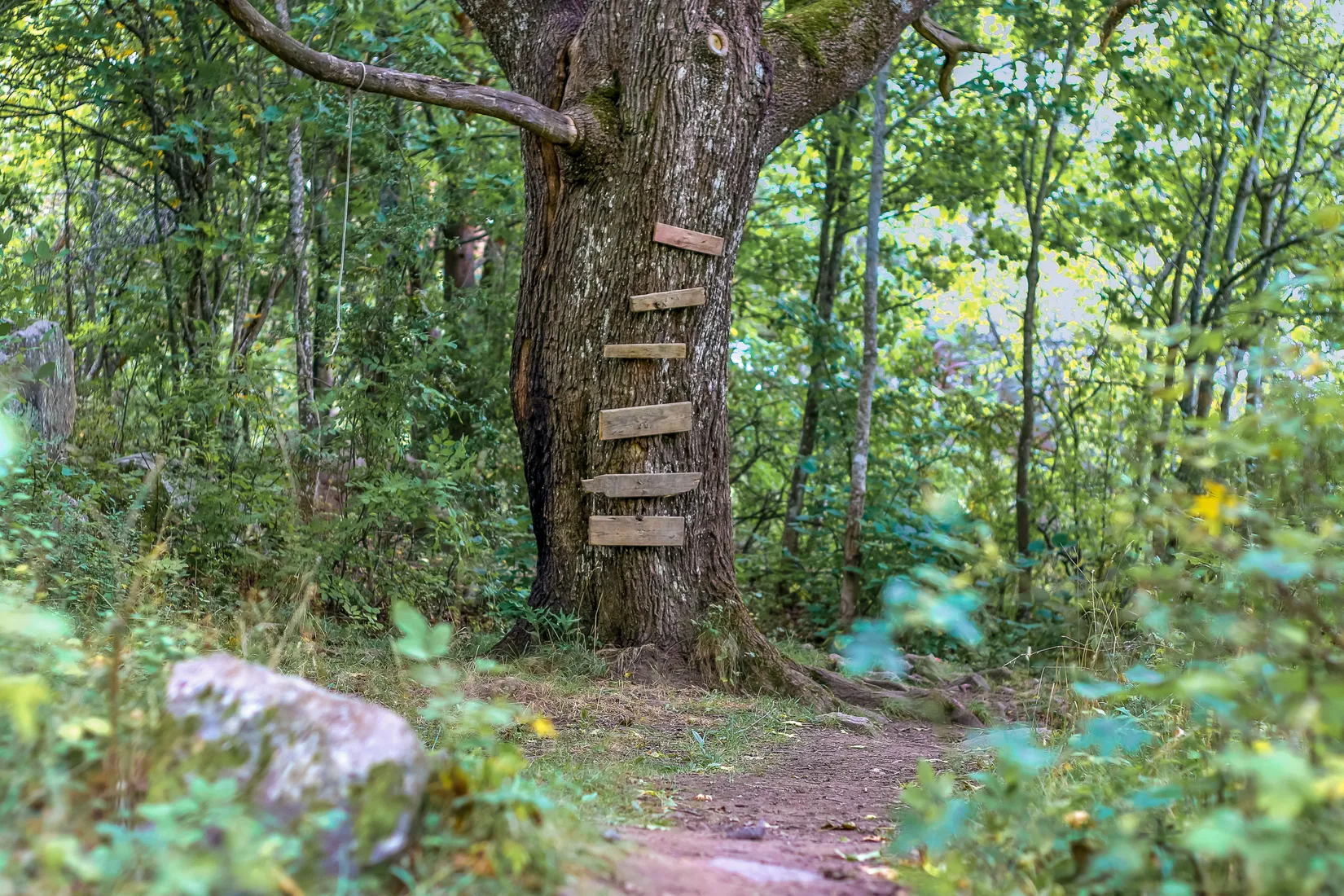 Bostadsrätt, Fresta norra allé 6E, Fresta, Upplands Väsby