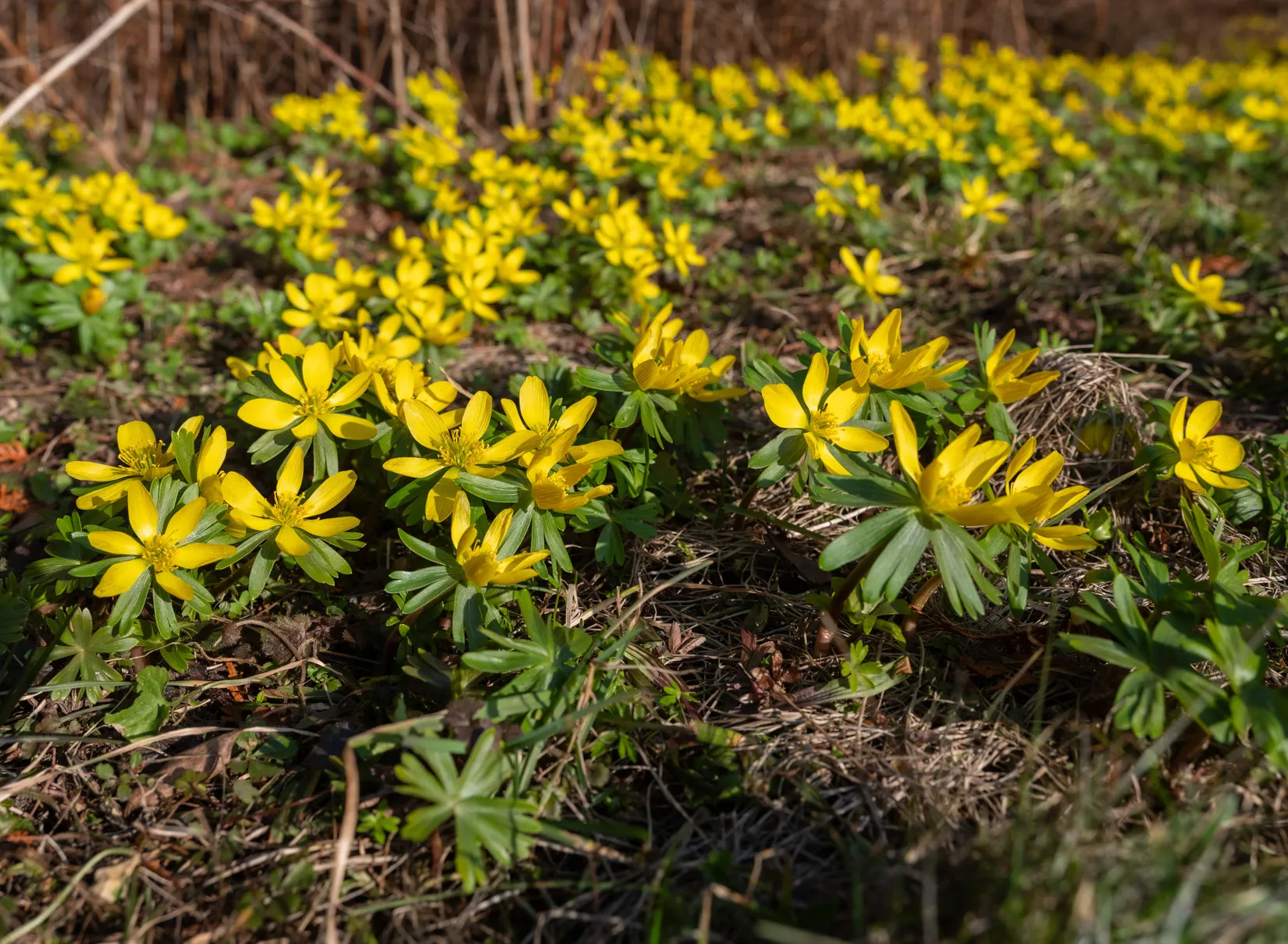 Villa, Halla Möllebos 311, Halla, Gotland
