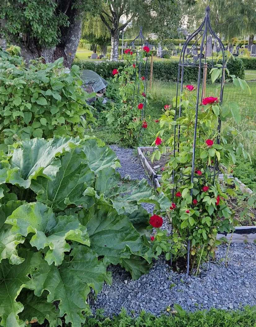 Villa, Kyrkvaktarvägen 3, Fjällsta, Bräcke