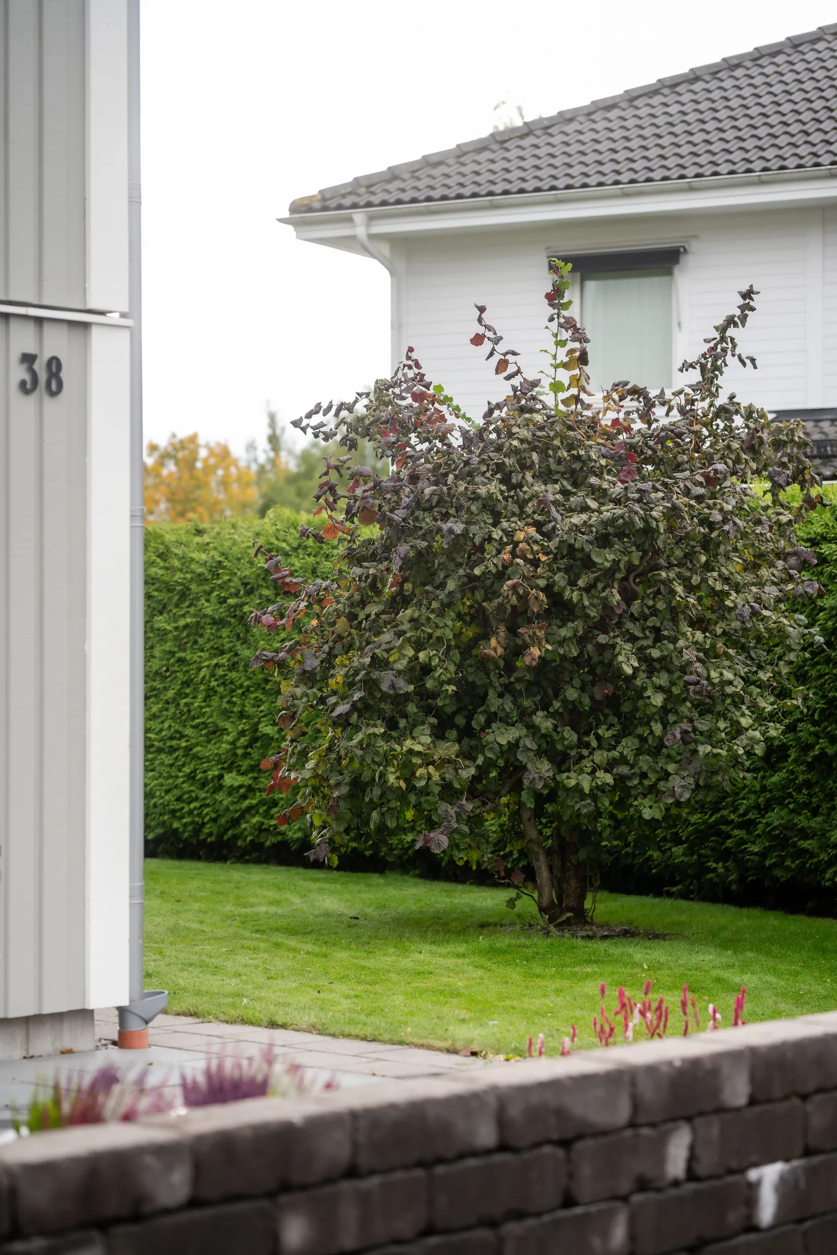 Villa, Sjöhagsvägen 38, Sjömarken, Borås