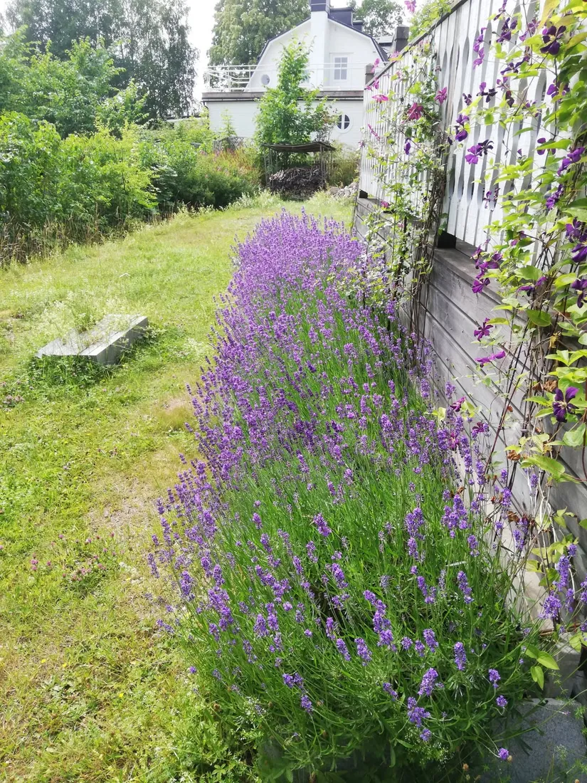 Villa, Mossvägen 24, Norrtälje - Fågelsången, Norrtälje