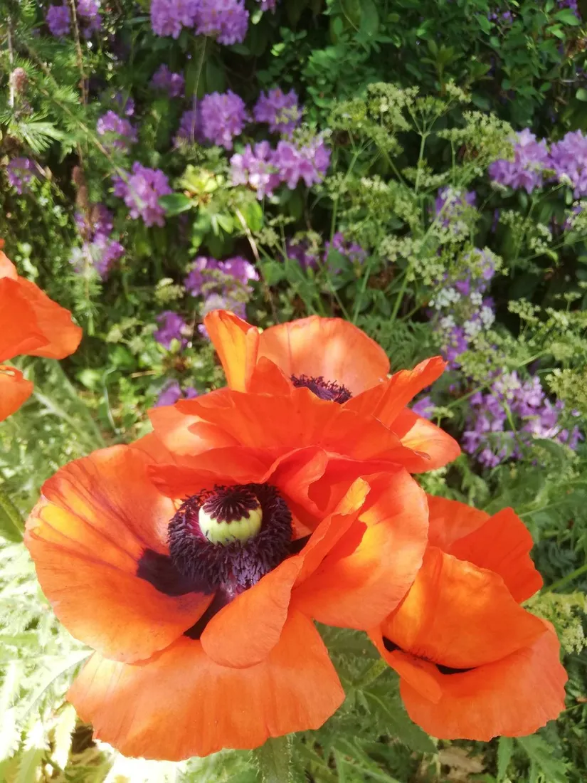 Villa, Mossvägen 24, Norrtälje - Fågelsången, Norrtälje