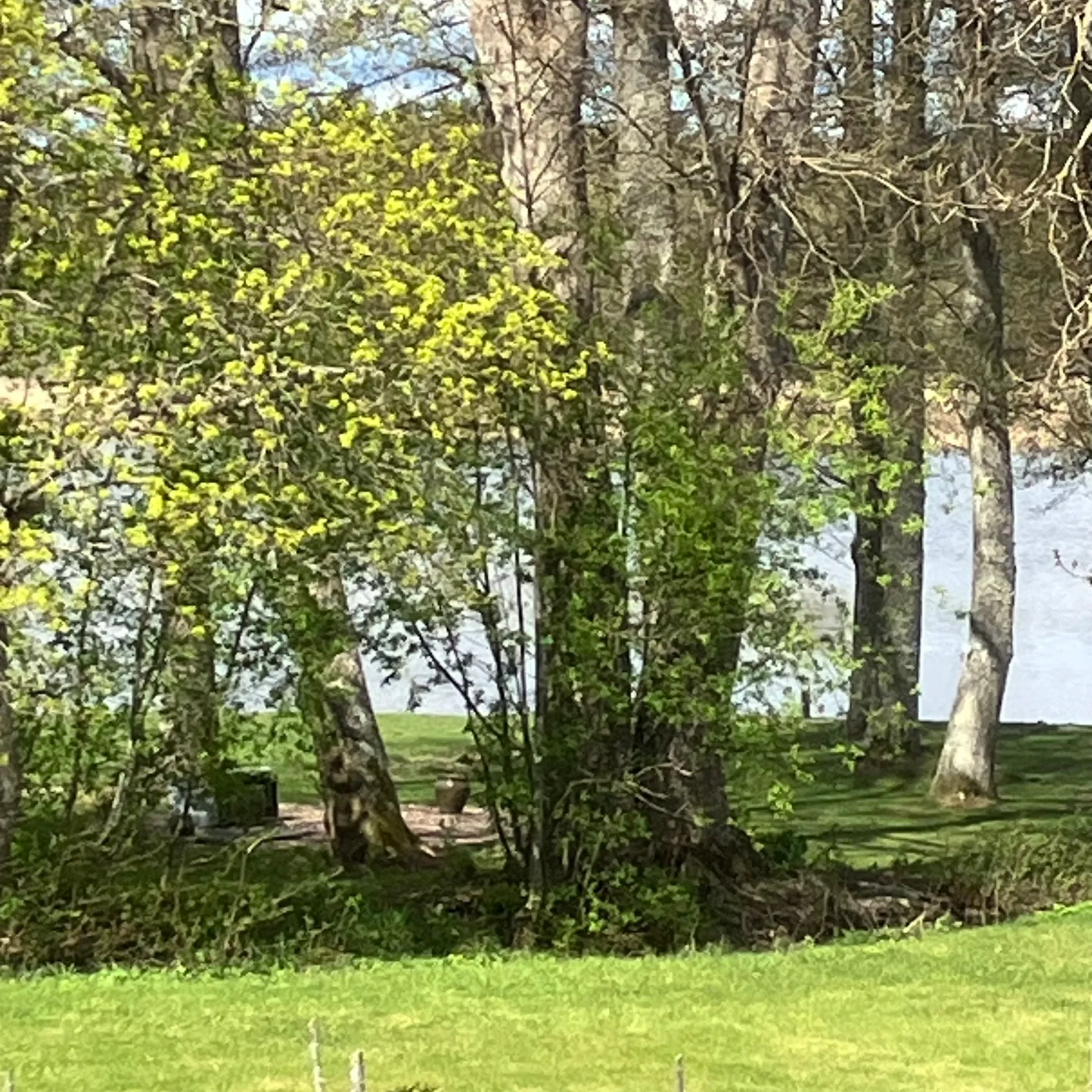 Villa, Blidövägen 76, Hemsundet, Norrtälje