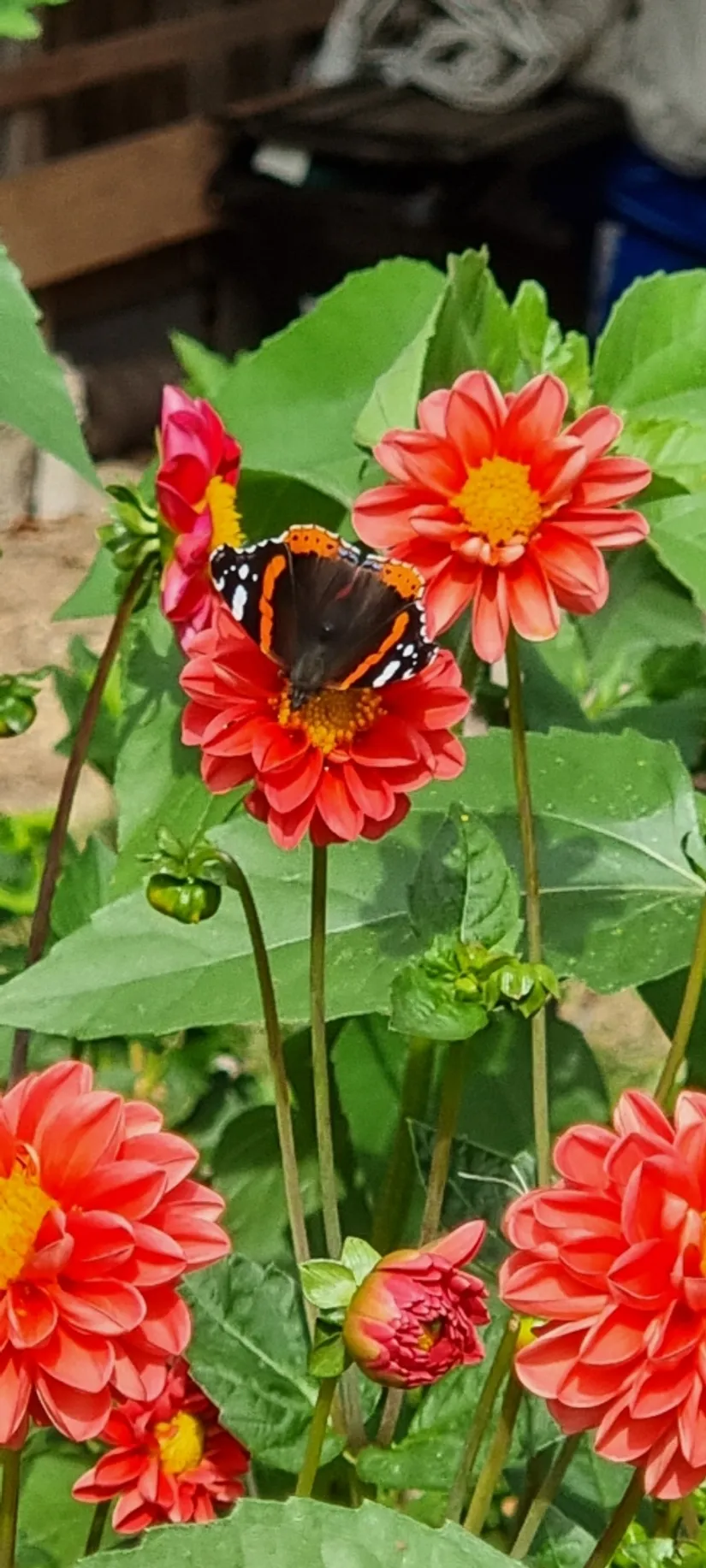 Villa, Agnetorp Granbolet 7, Tidaholm