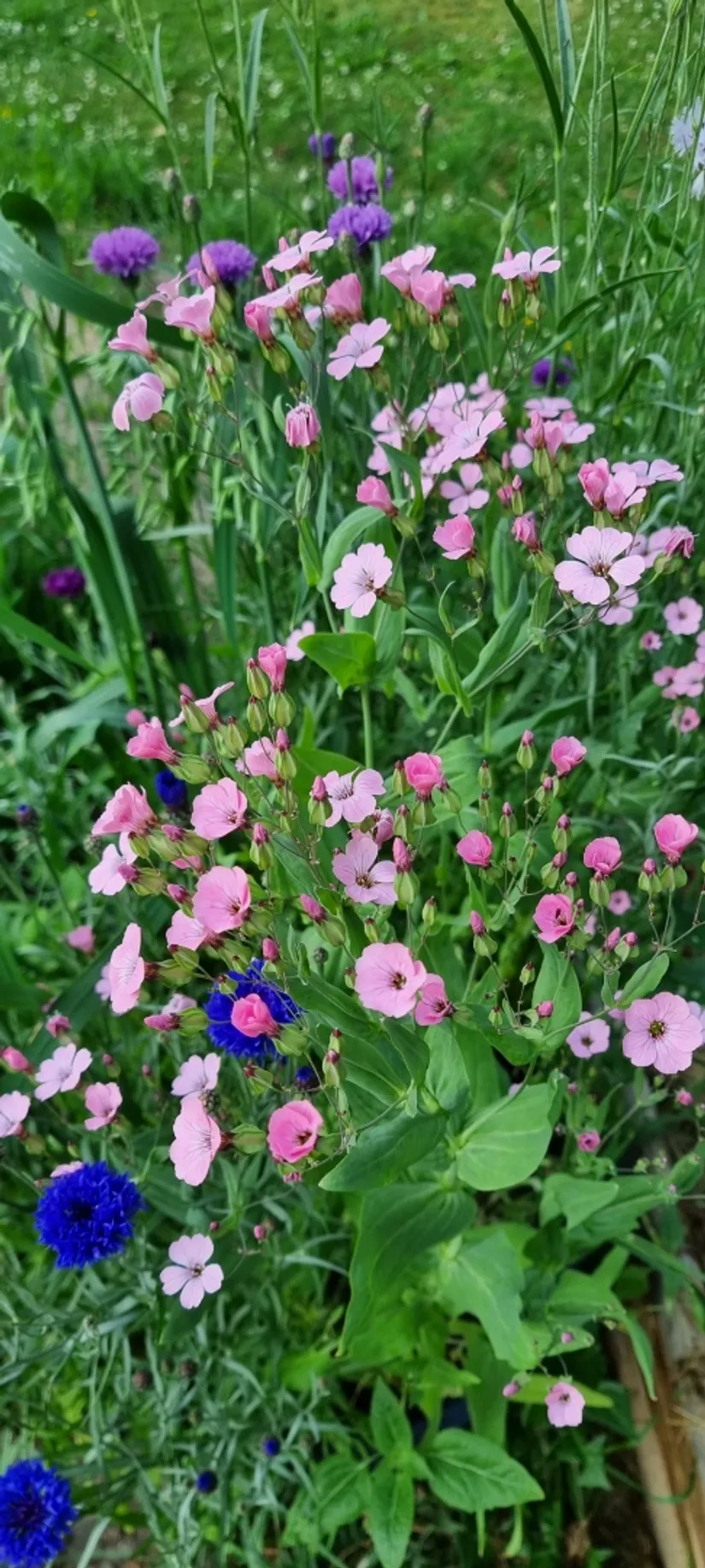 Villa, Agnetorp Granbolet 7, Tidaholm