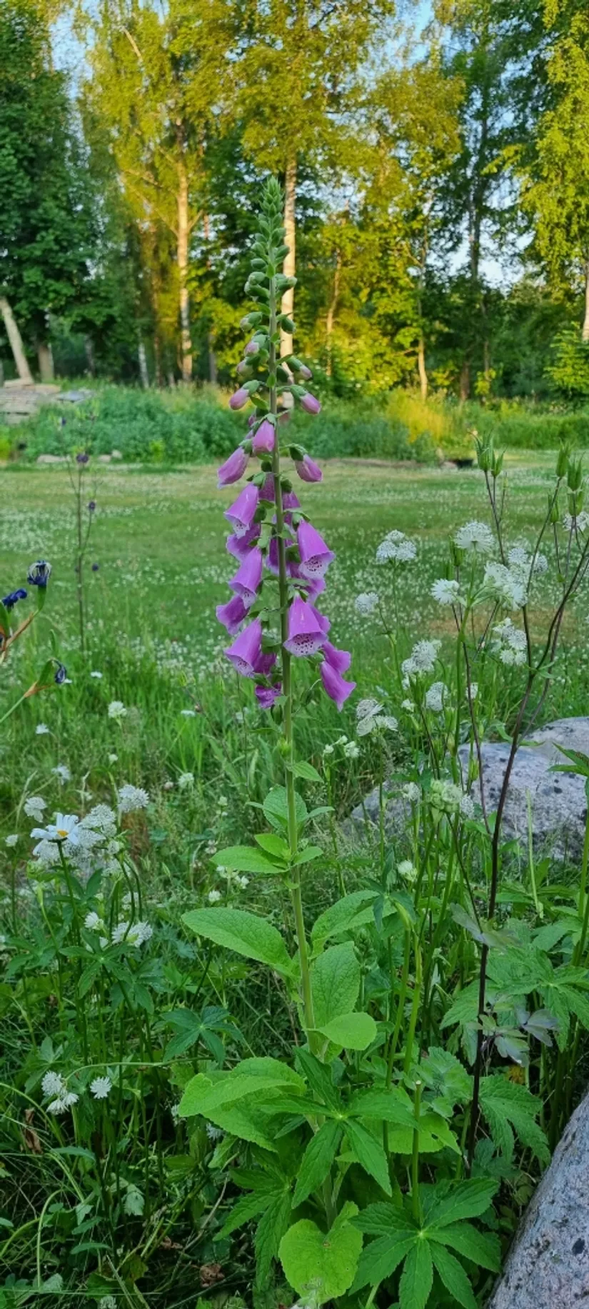 Villa, Agnetorp Granbolet 7, Tidaholm