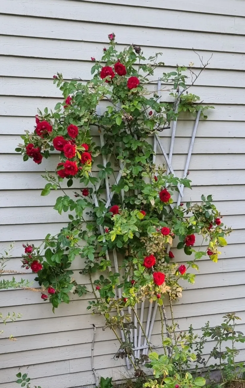 Villa, Agnetorp Granbolet 7, Tidaholm