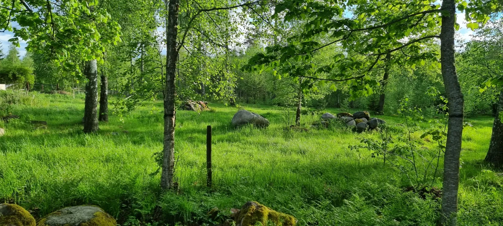 Villa, Agnetorp Granbolet 7, Tidaholm