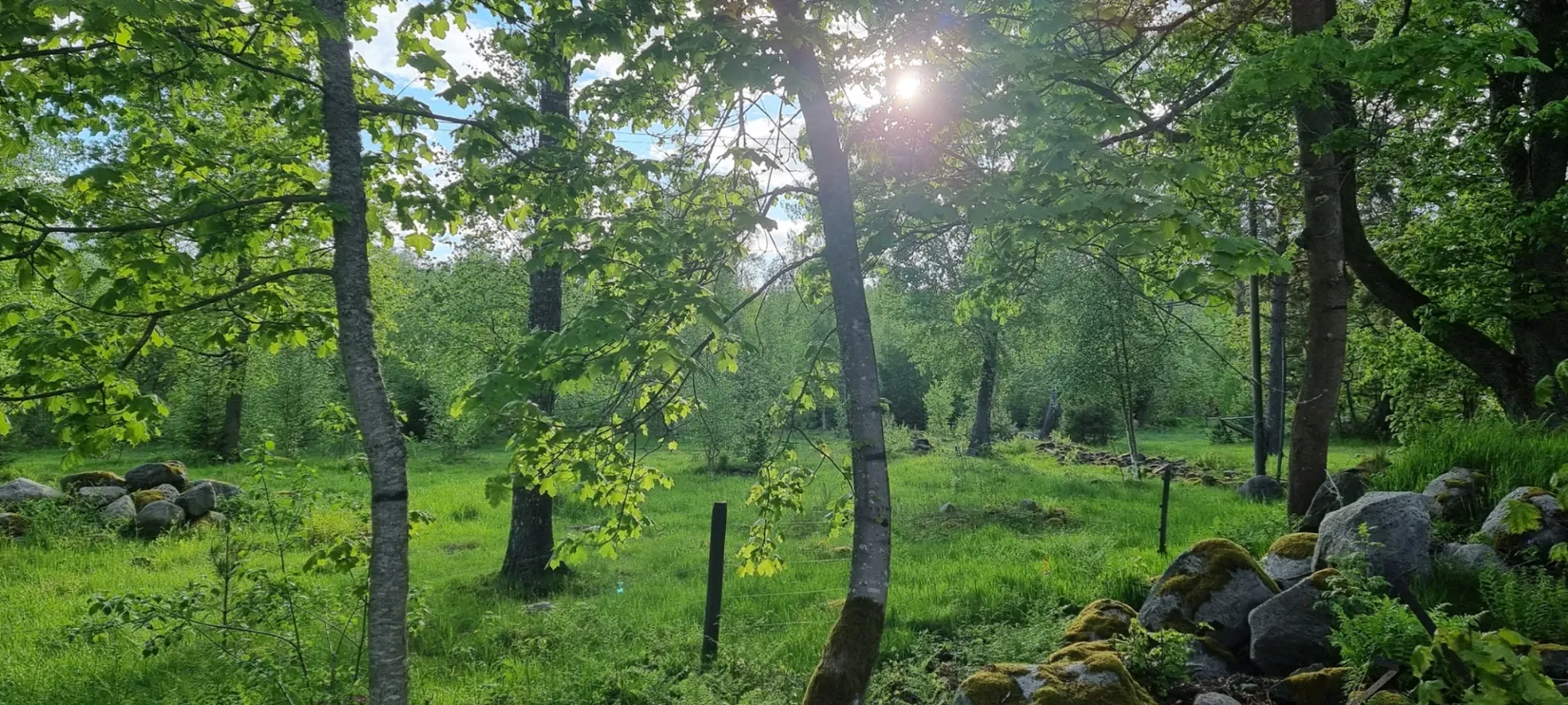 Villa, Agnetorp Granbolet 7, Tidaholm