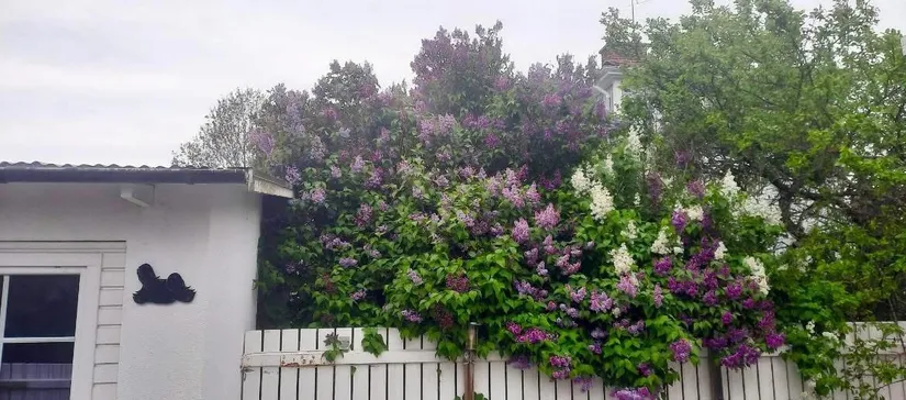 Villa, Nävertorpsgatan 12, Katrineholm Nävertorp, Katrineholm