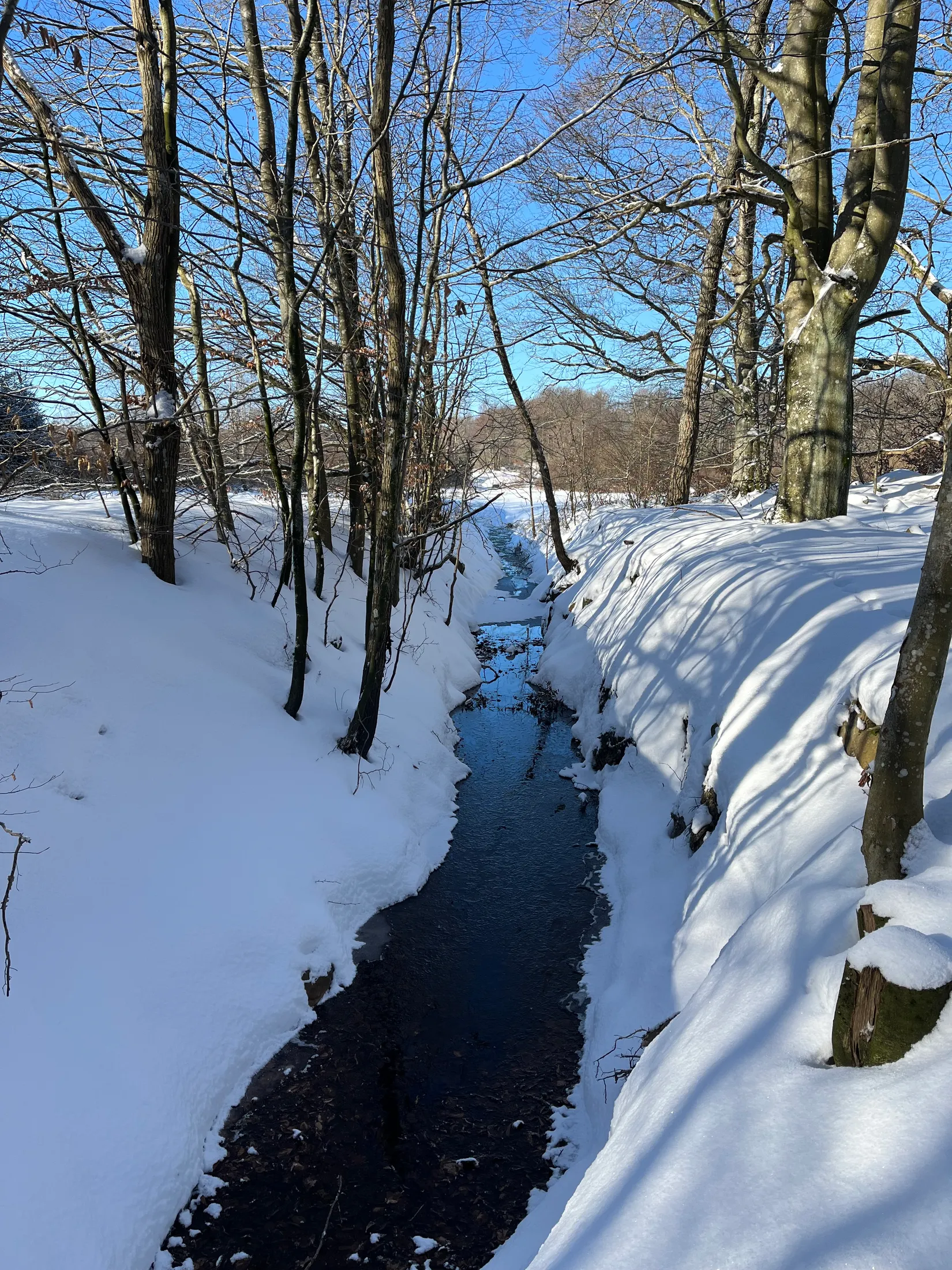 Gård/Skog, Älmhult 2:14, Svensköp, Hörby