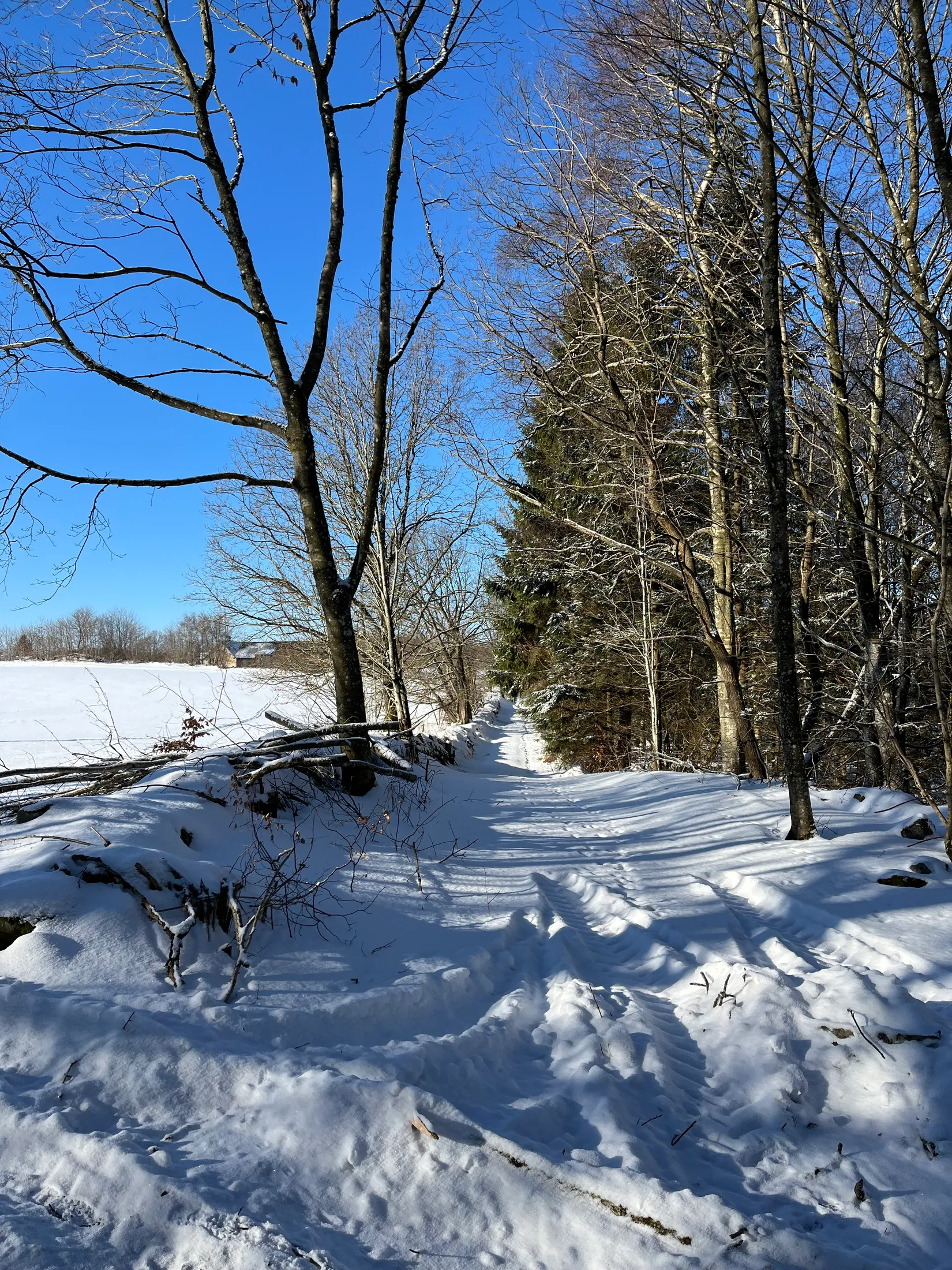Gård/Skog, Älmhult 2:14, Svensköp, Hörby
