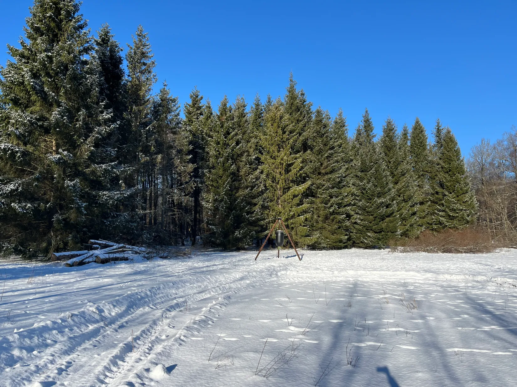 Gård/Skog, Älmhult 2:14, Svensköp, Hörby