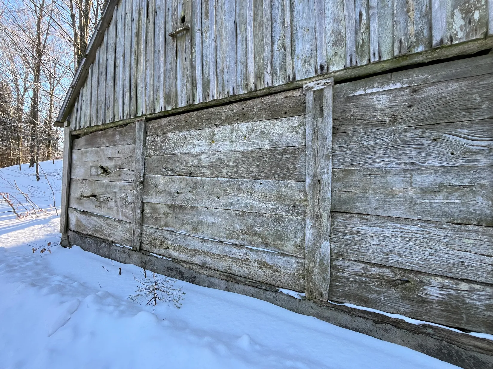 Gård/Skog, Älmhult 2:14, Svensköp, Hörby