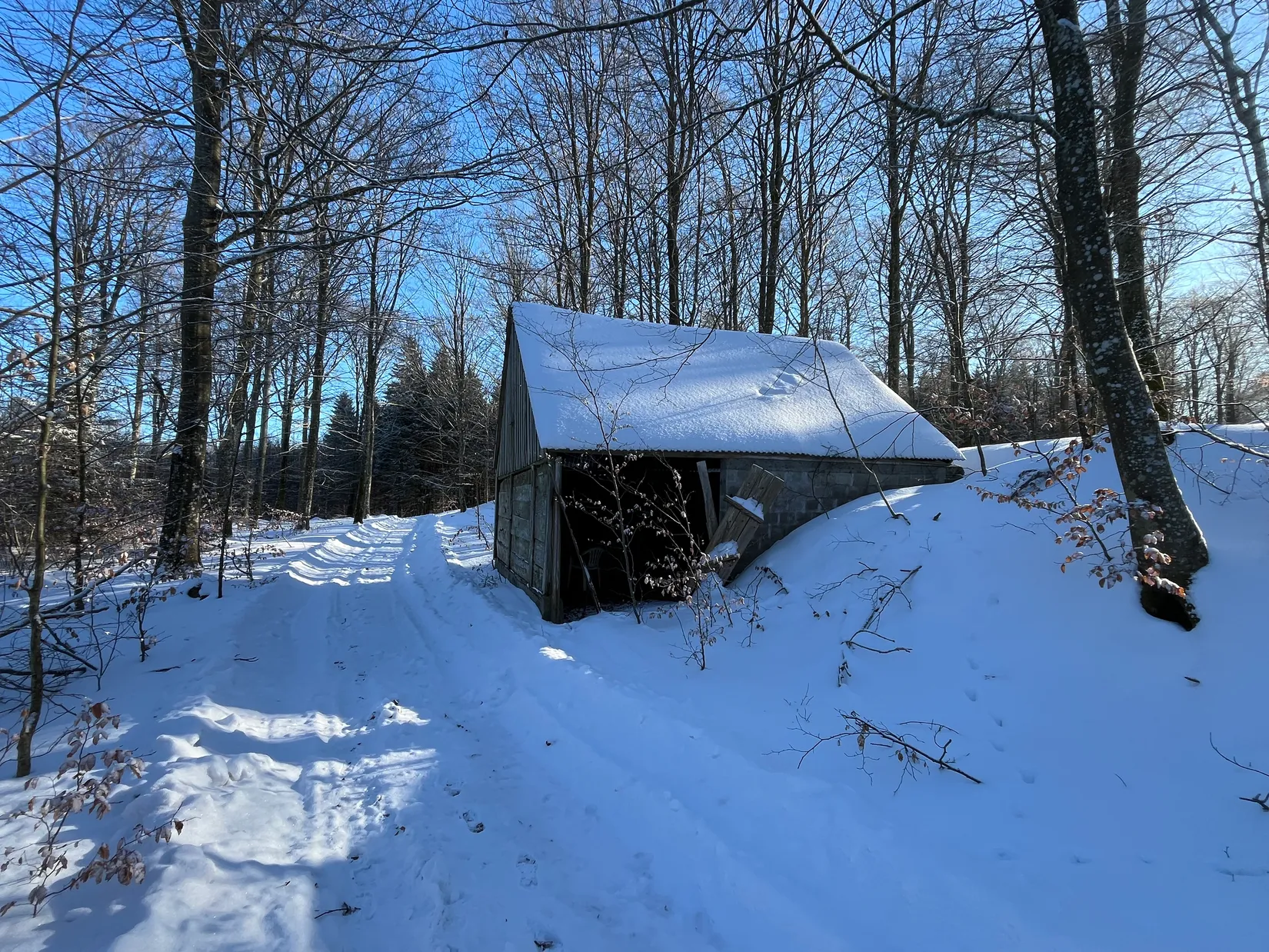 Gård/Skog, Älmhult 2:14, Svensköp, Hörby