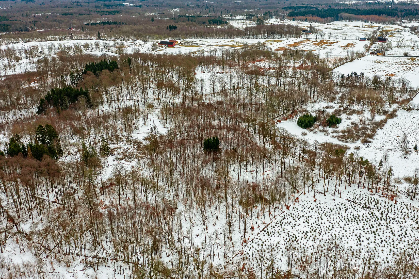 Gård/Skog, Älmhult 2:14, Svensköp, Hörby