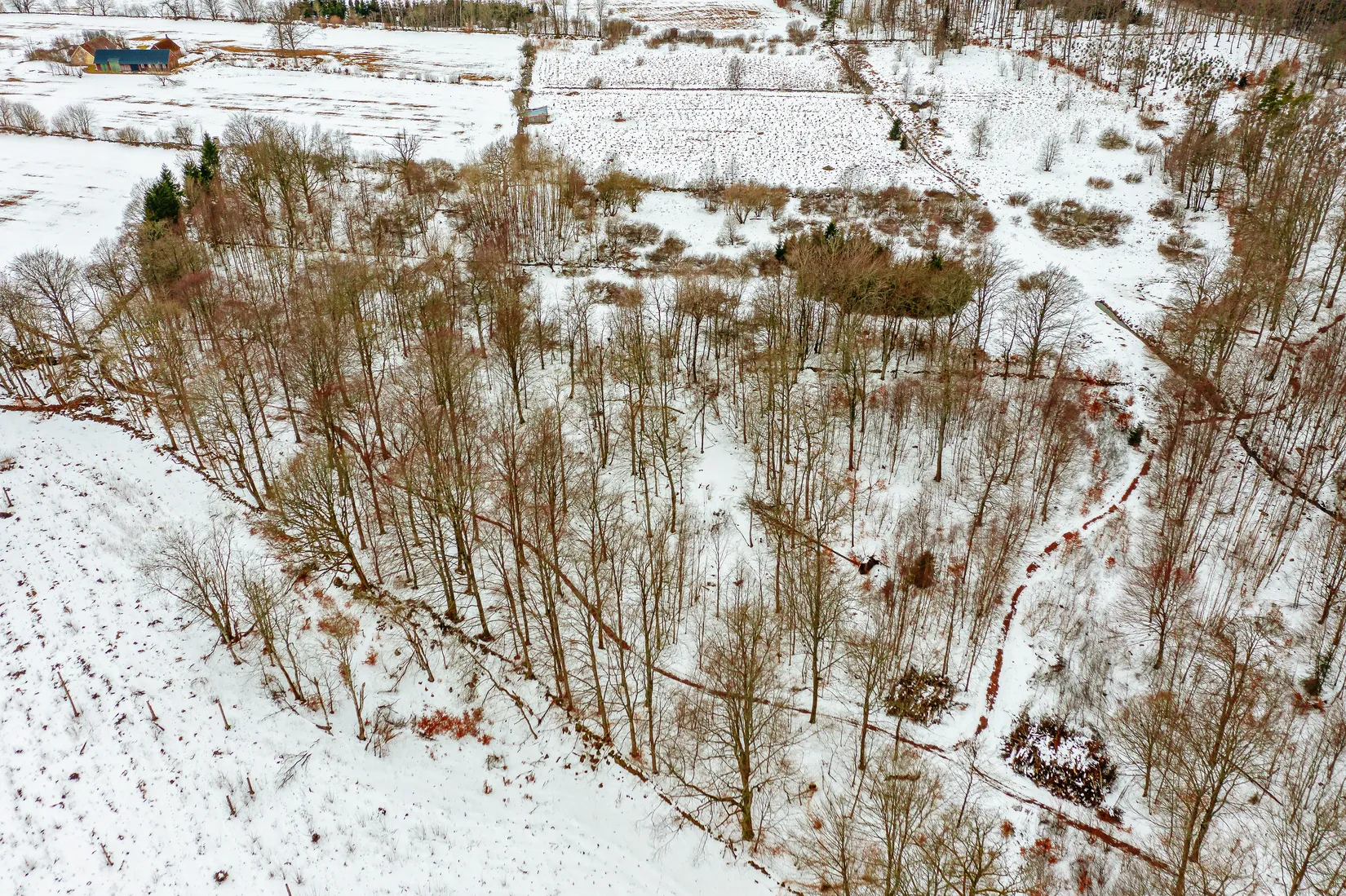 Gård/Skog, Älmhult 2:14, Svensköp, Hörby