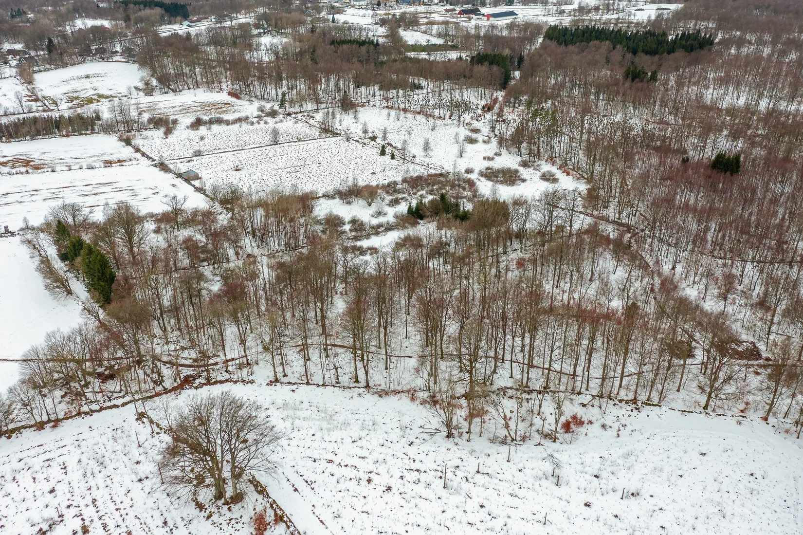 Gård/Skog, Älmhult 2:14, Svensköp, Hörby