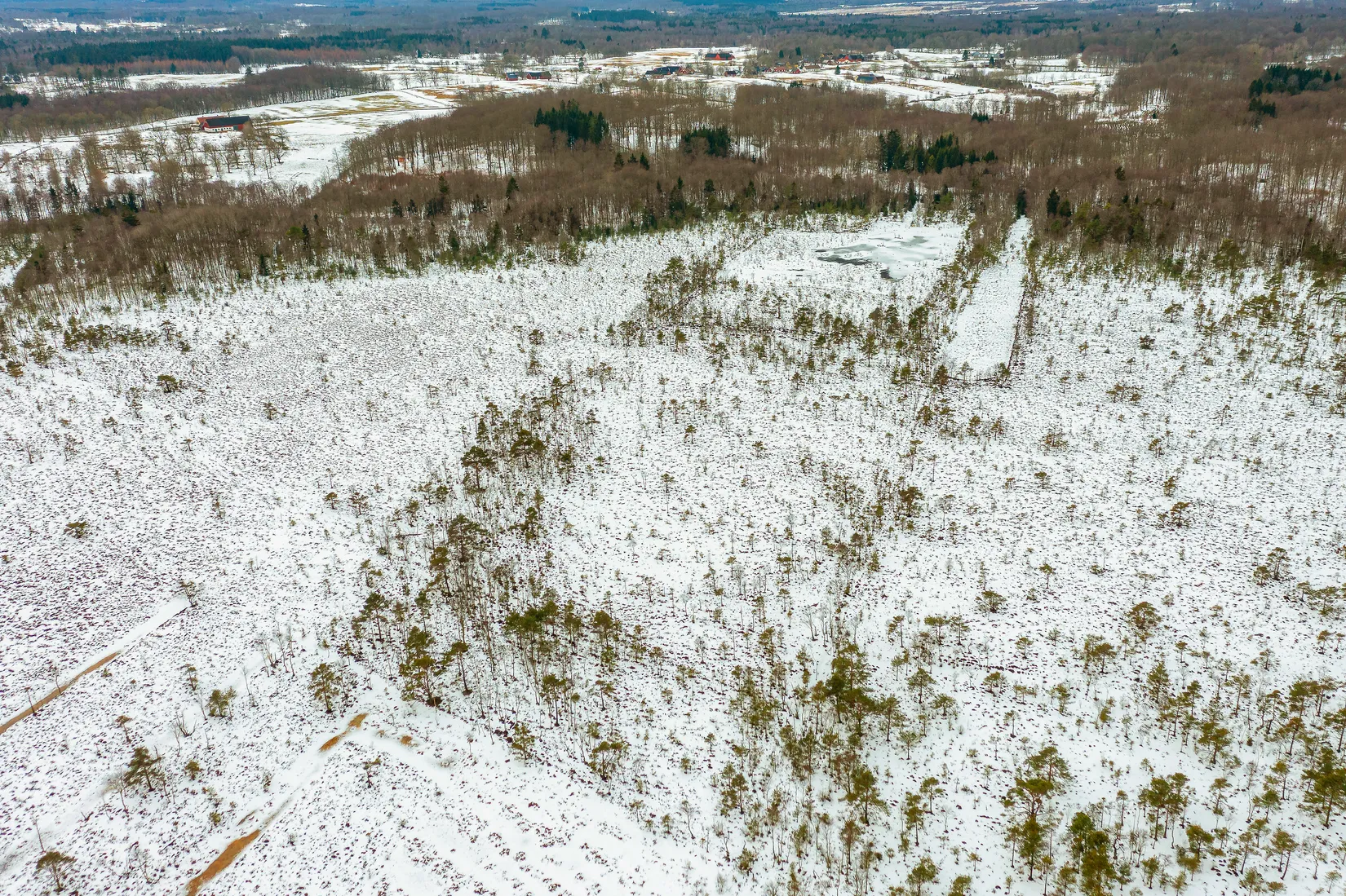 Gård/Skog, Älmhult 2:14, Svensköp, Hörby