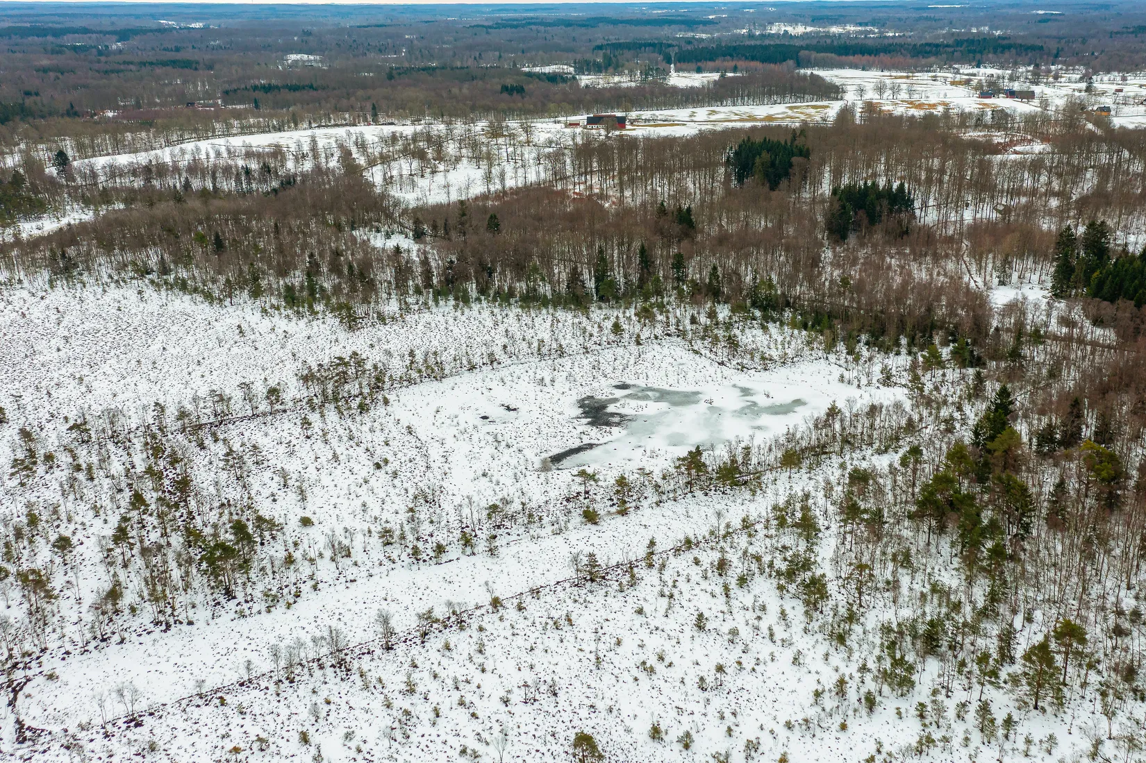 Gård/Skog, Älmhult 2:14, Svensköp, Hörby