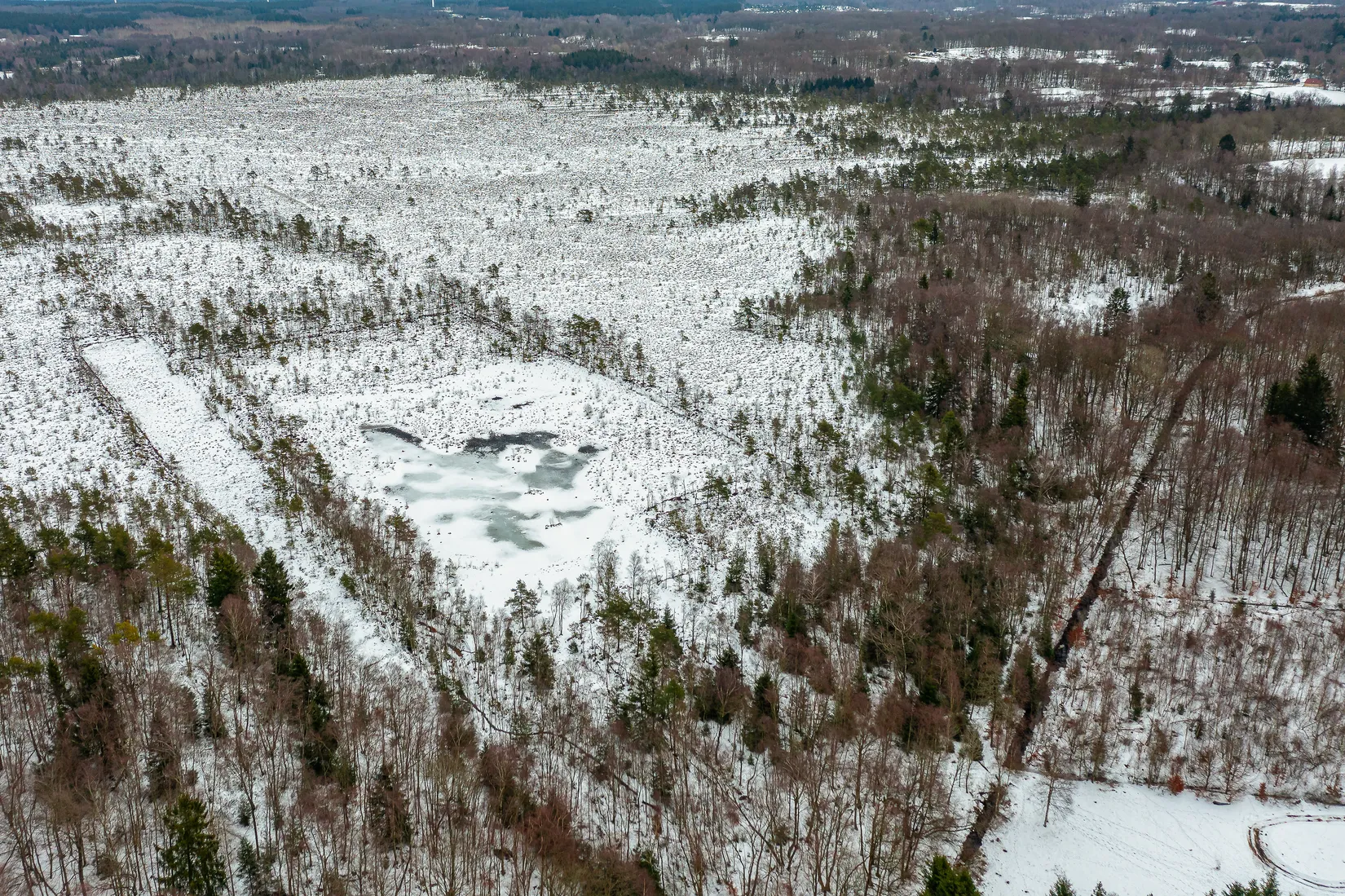 Gård/Skog, Älmhult 2:14, Svensköp, Hörby