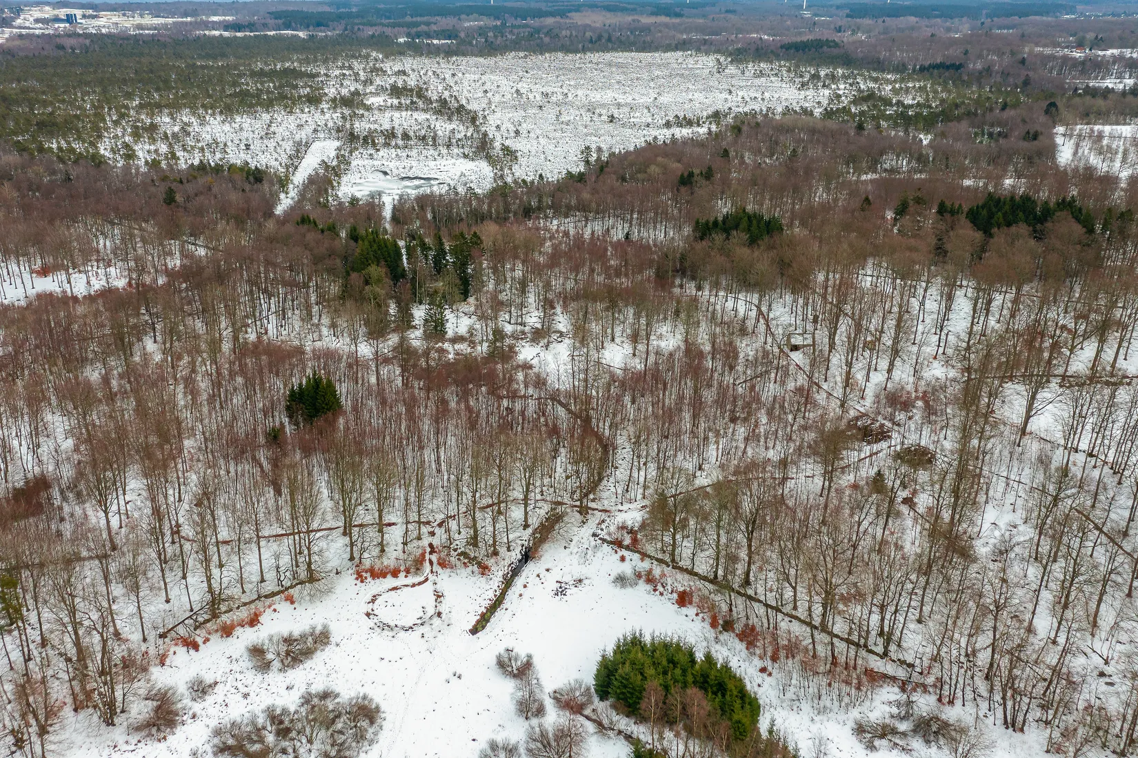 Gård/Skog, Älmhult 2:14, Svensköp, Hörby
