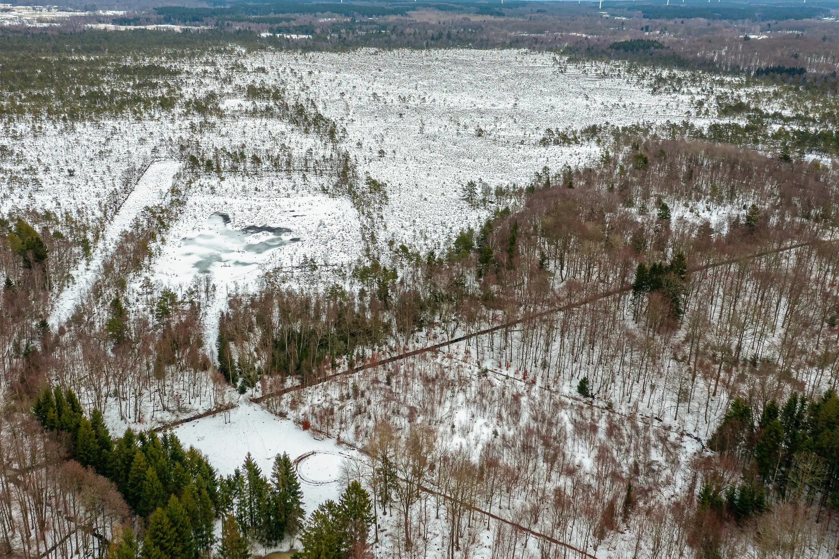 Gård/Skog, Älmhult 2:14, Svensköp, Hörby