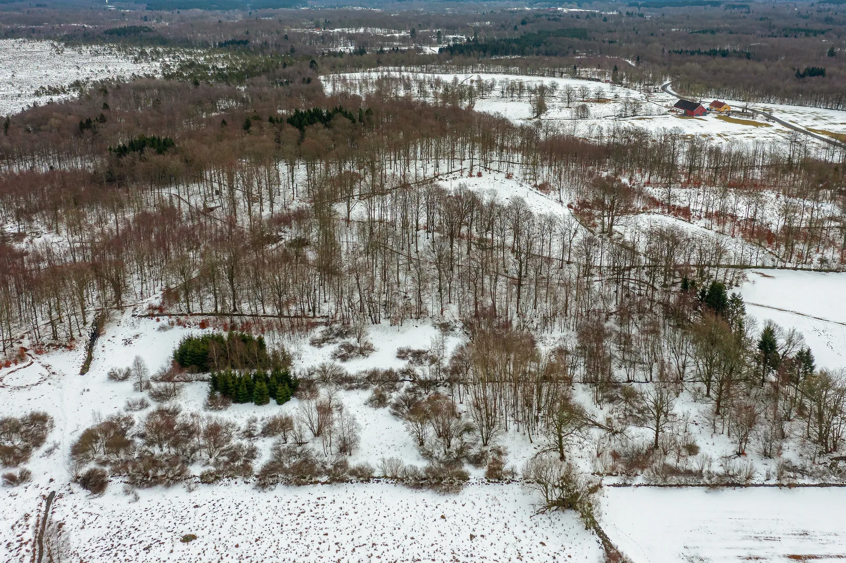 Gård/Skog, Älmhult 2:14, Svensköp, Hörby
