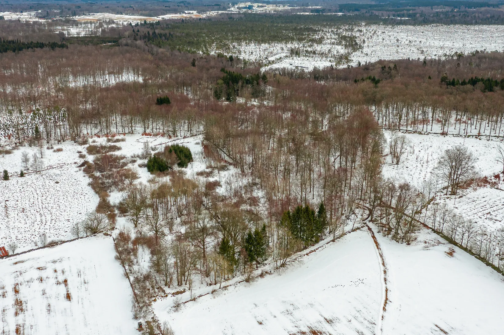 Gård/Skog, Älmhult 2:14, Svensköp, Hörby