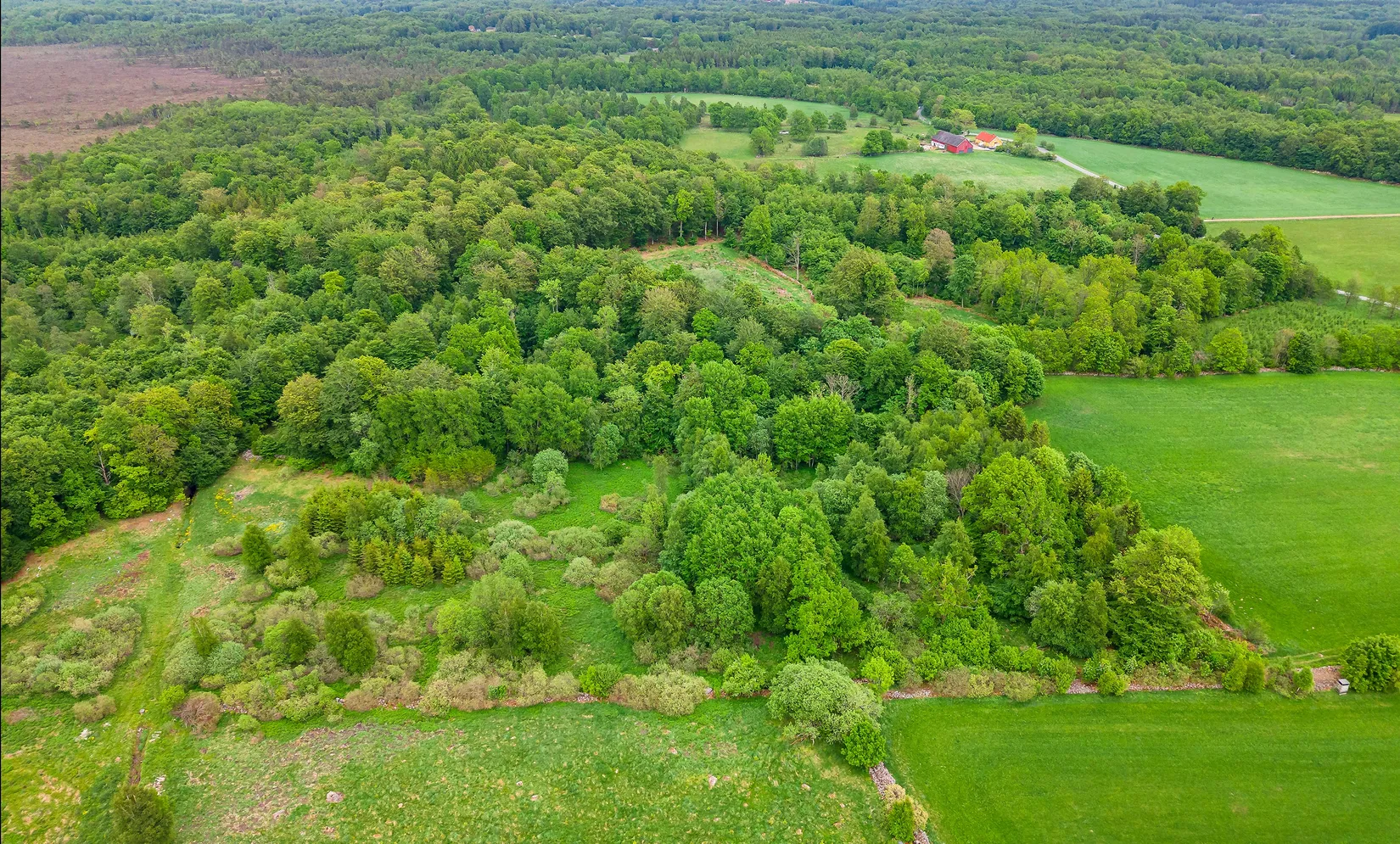 Gård/Skog, Älmhult 2:14, Svensköp, Hörby