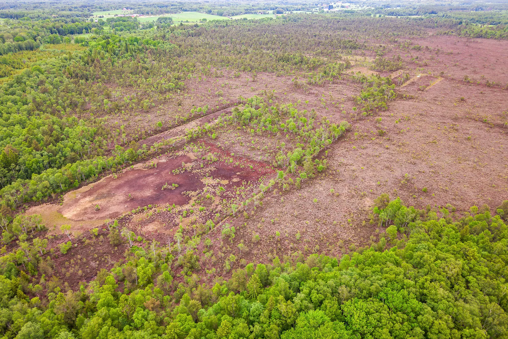 Gård/Skog, Älmhult 2:14, Svensköp, Hörby