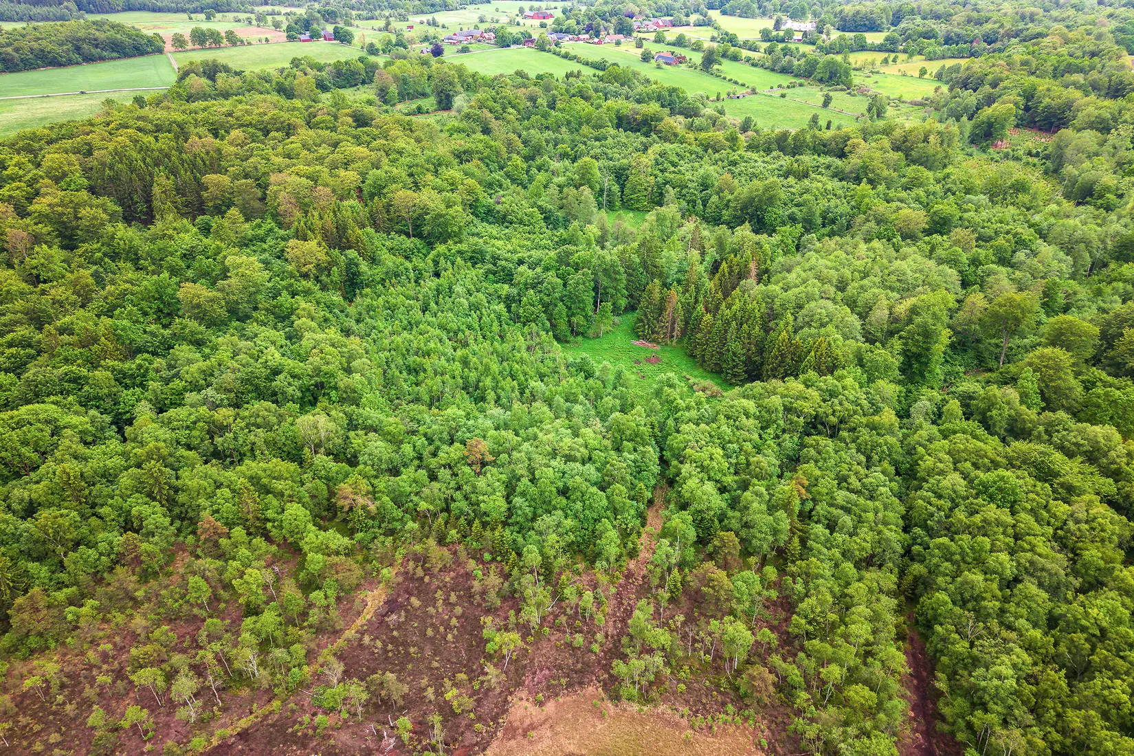 Gård/Skog, Älmhult 2:14, Svensköp, Hörby
