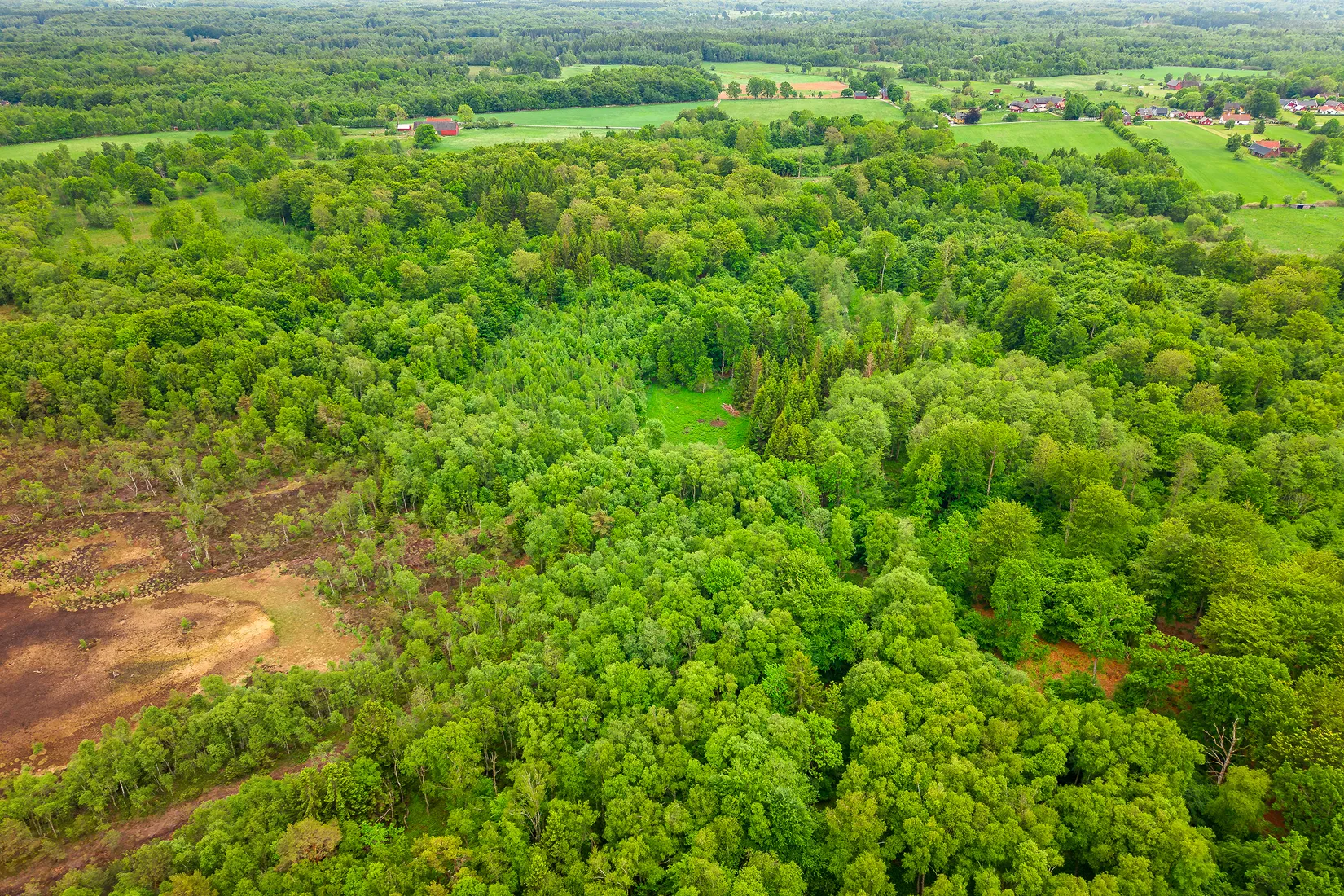 Gård/Skog, Älmhult 2:14, Svensköp, Hörby