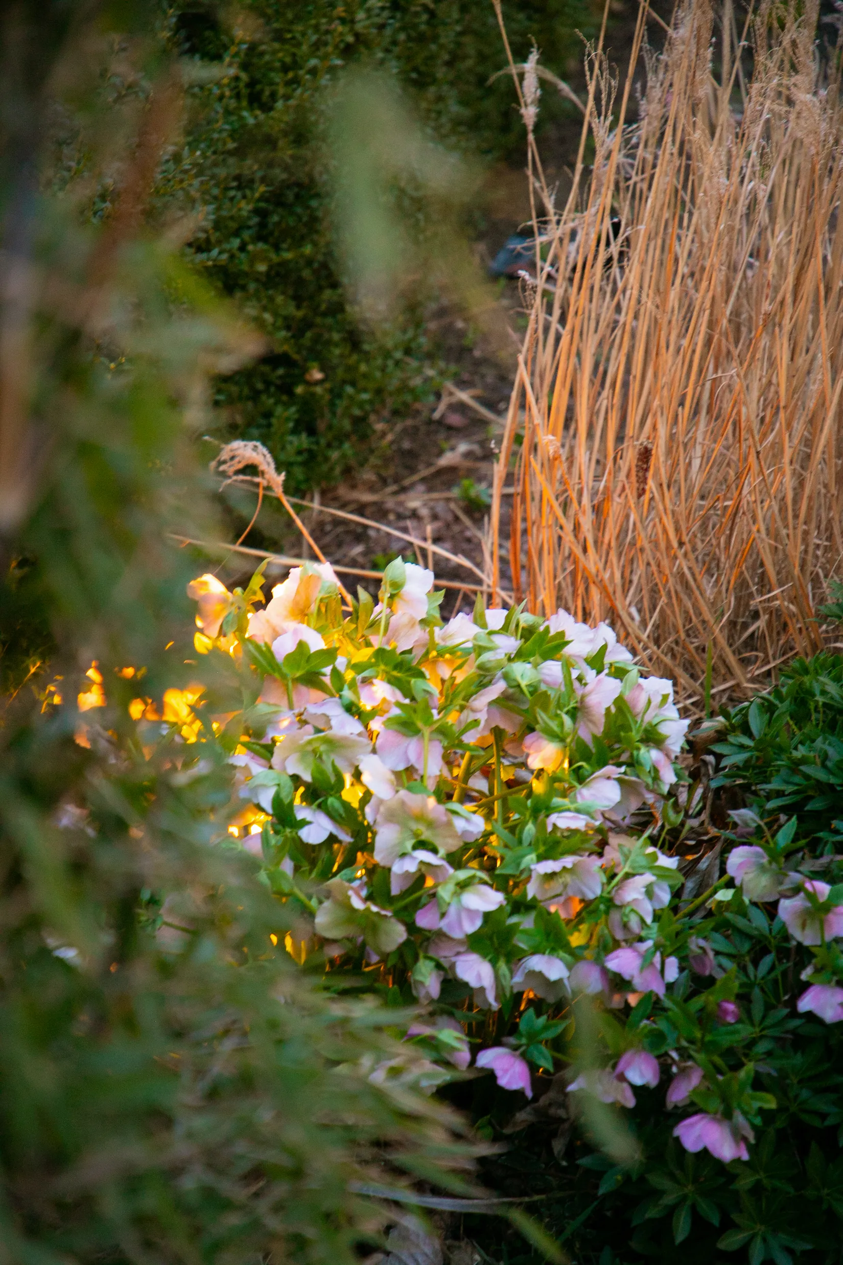 Villa, Ledets väg 16, Onsala - Lyngås / Rydet / Liden, Kungsbacka