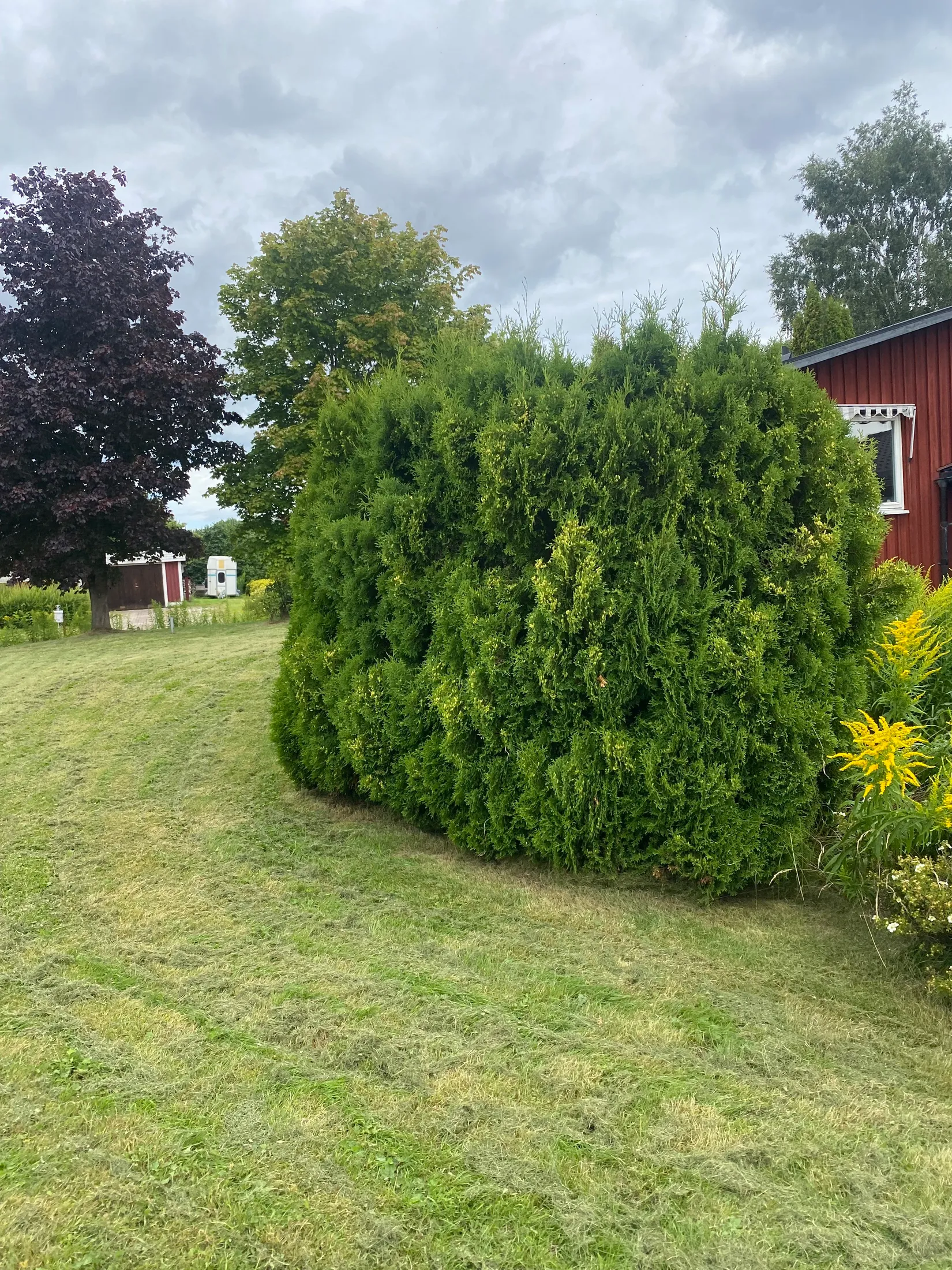 Villa, Kappegatan 10, Nygårdsdalen, Borlänge