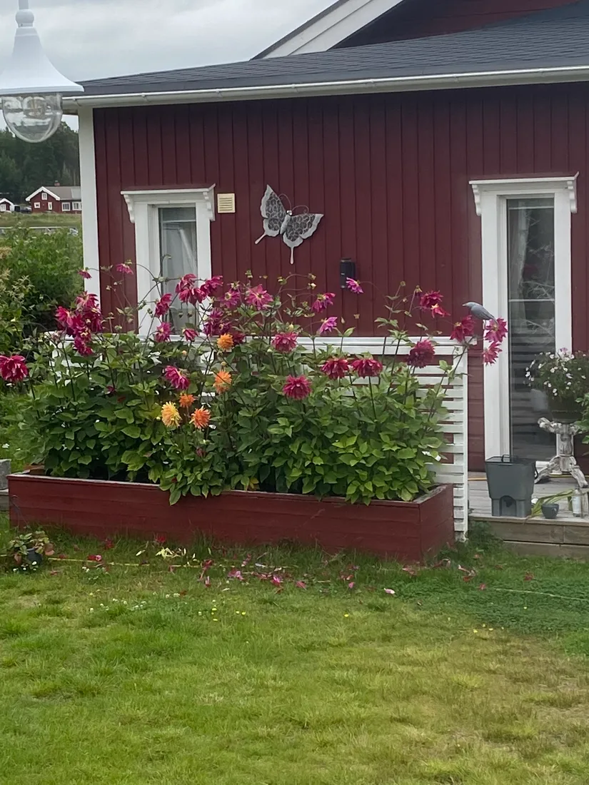 Villa, Bjässviken 63, Skellefteå