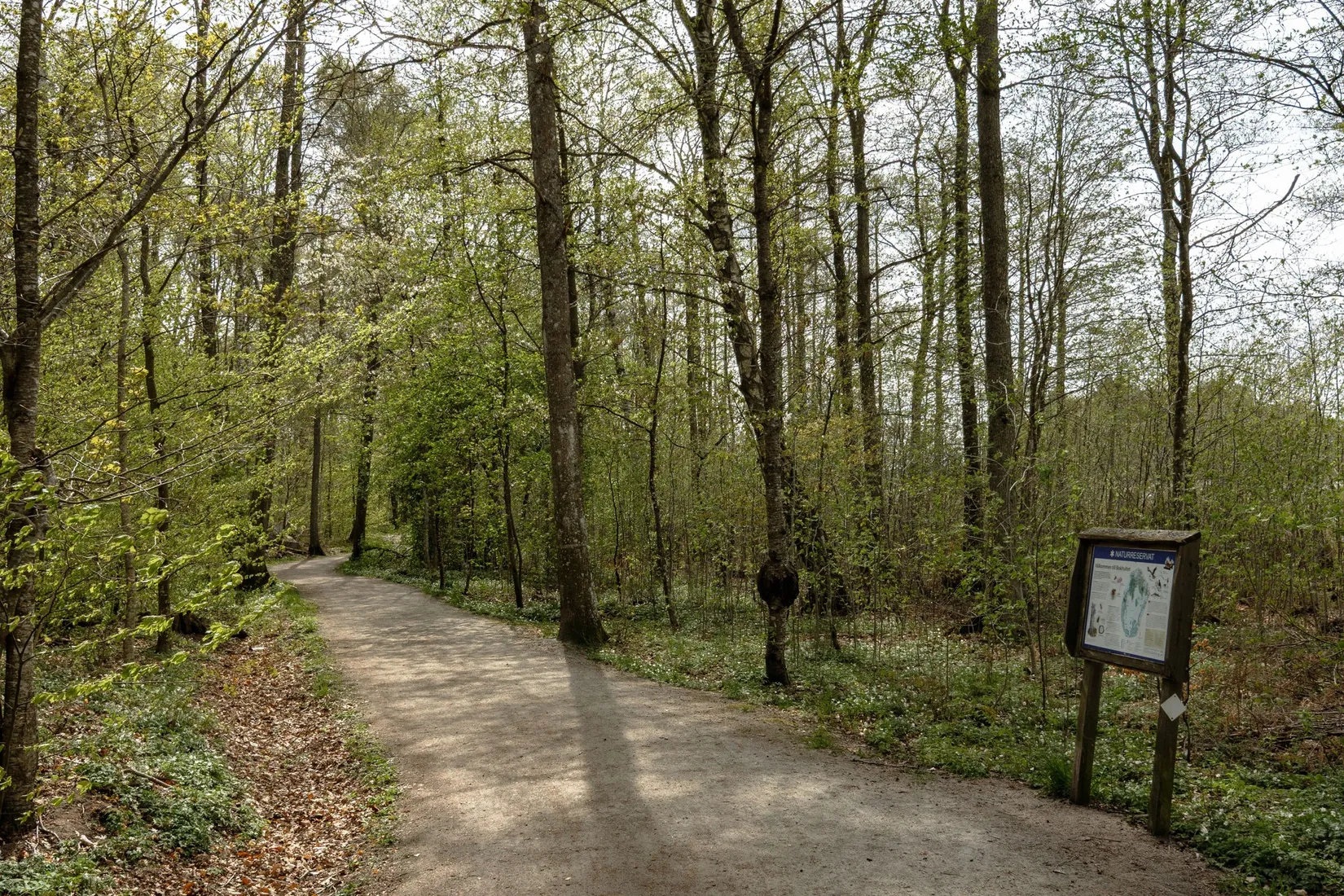 Bostadsrätt, Bollklubbsvägen 6G, Torparängen, Växjö